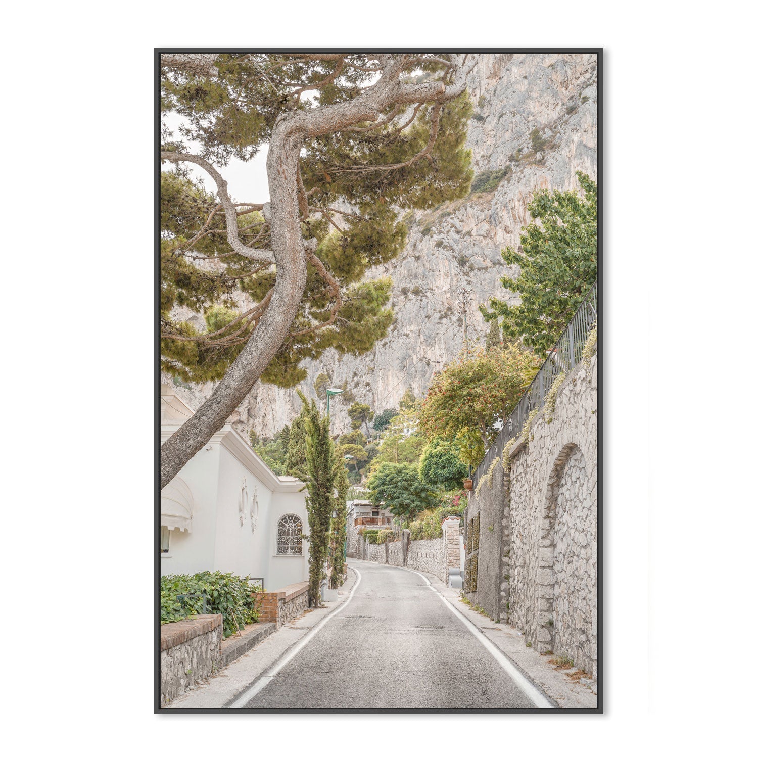 wall-art-print-canvas-poster-framed-Streets of Capri-3