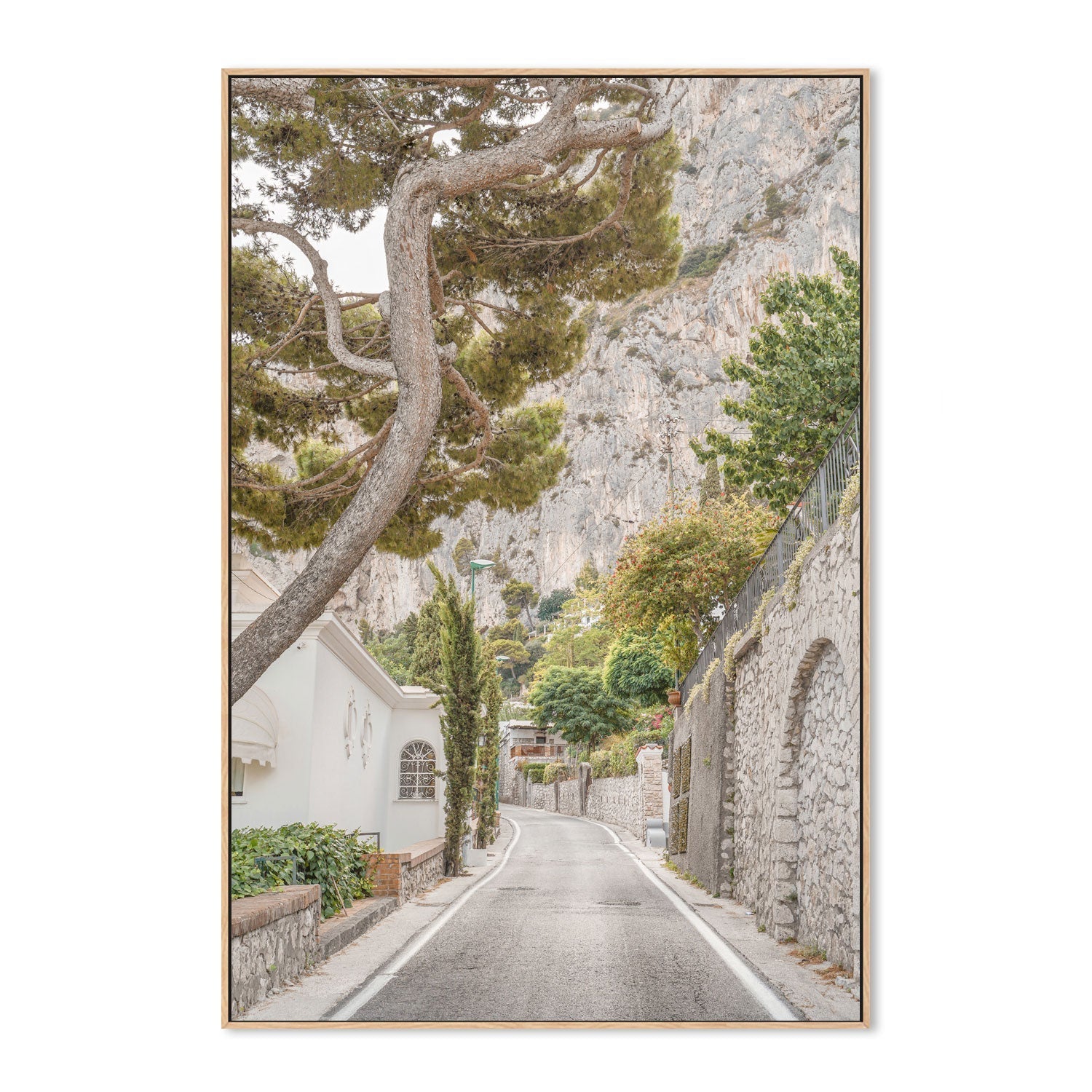 wall-art-print-canvas-poster-framed-Streets of Capri-4