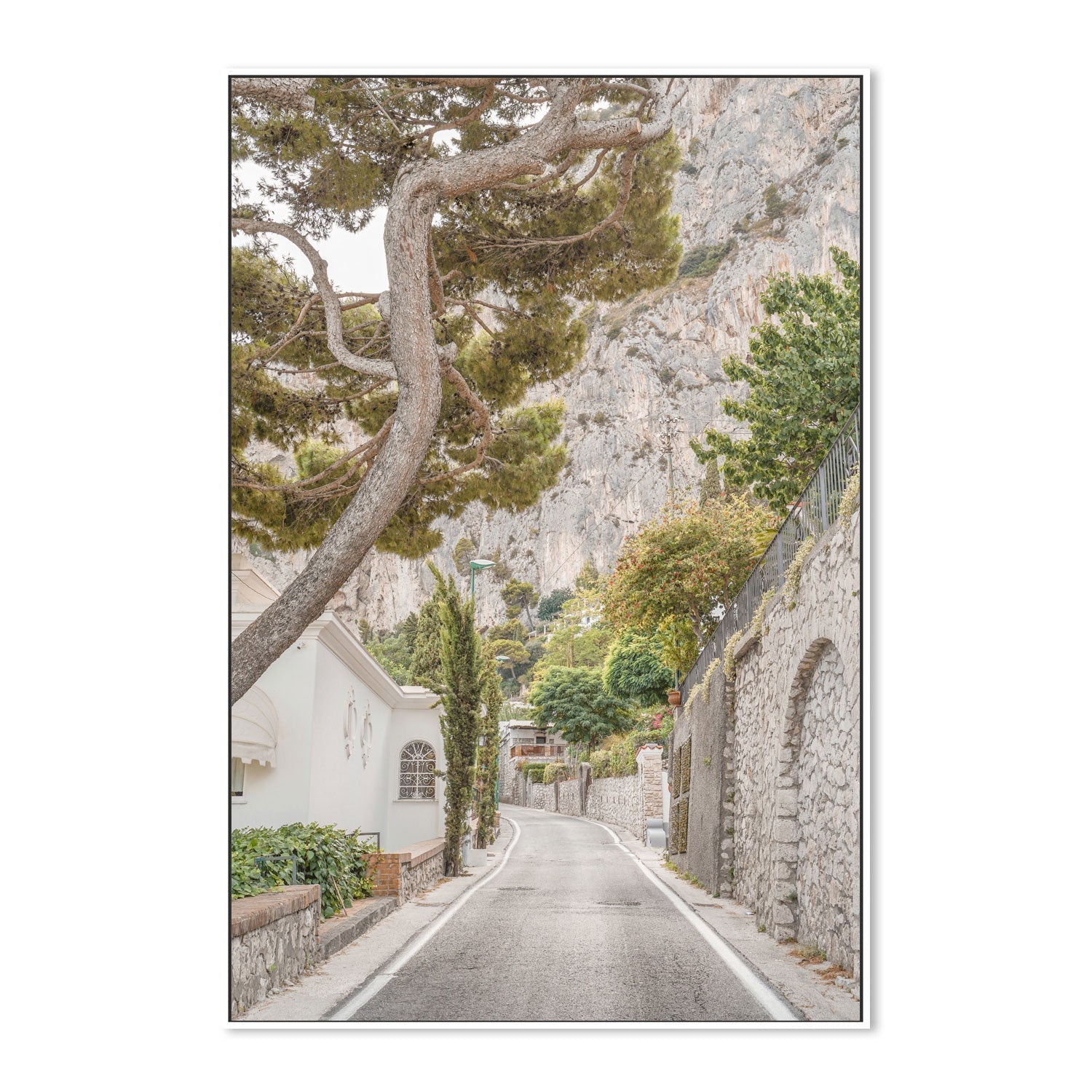 wall-art-print-canvas-poster-framed-Streets of Capri-5