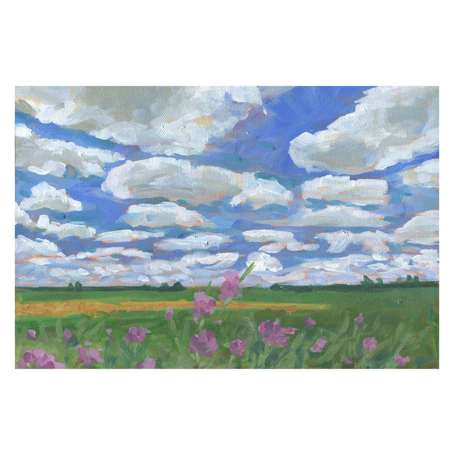 wall-art-print-canvas-poster-framed-Summer Field , By Carrie Arnold-1