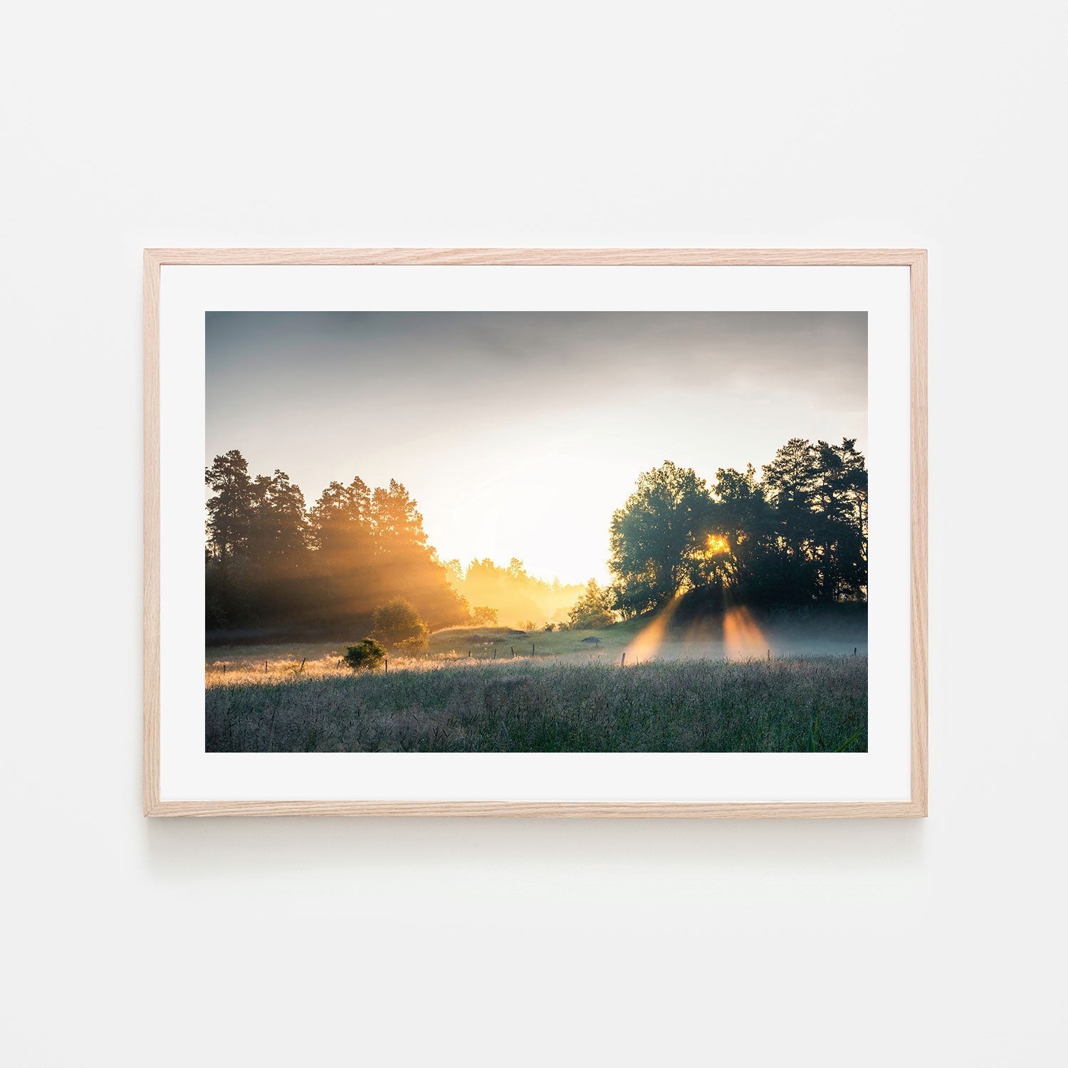 wall-art-print-canvas-poster-framed-Summer Field , By Christian Lindsten-GIOIA-WALL-ART