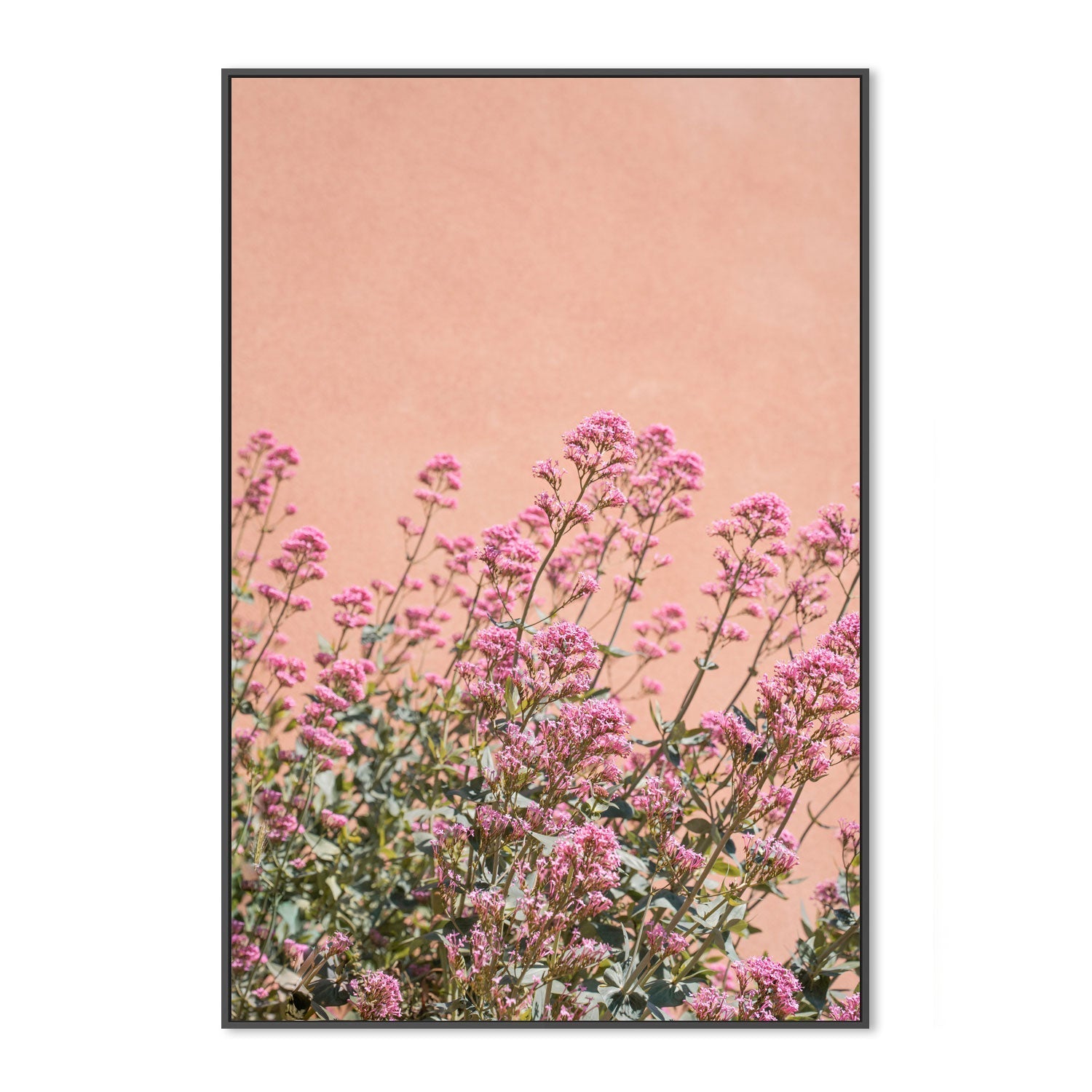 wall-art-print-canvas-poster-framed-Summer Flowers-3