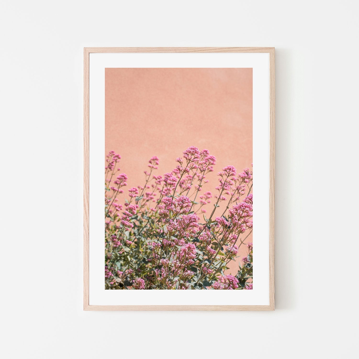 wall-art-print-canvas-poster-framed-Summer Flowers-6