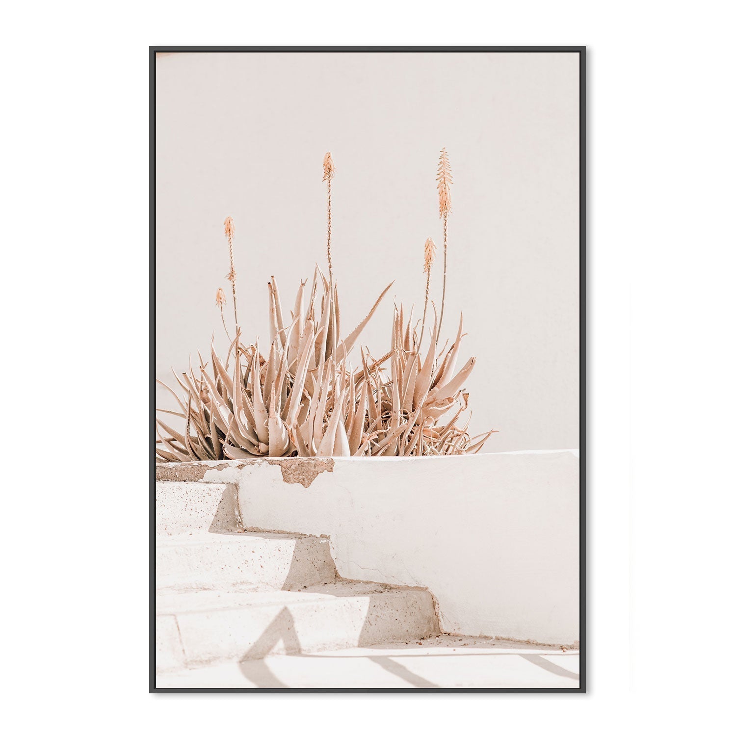 Sun bathing plants-Gioia-Prints-Framed-Canvas-Poster-GIOIA-WALL-ART