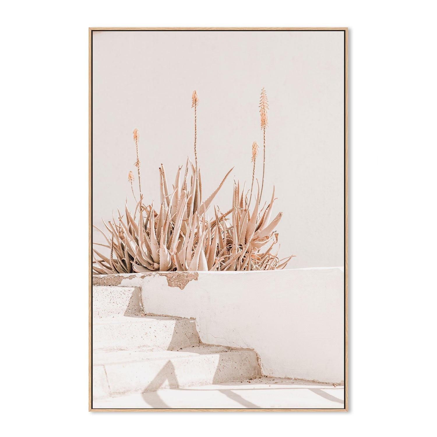 Sun bathing plants-Gioia-Prints-Framed-Canvas-Poster-GIOIA-WALL-ART