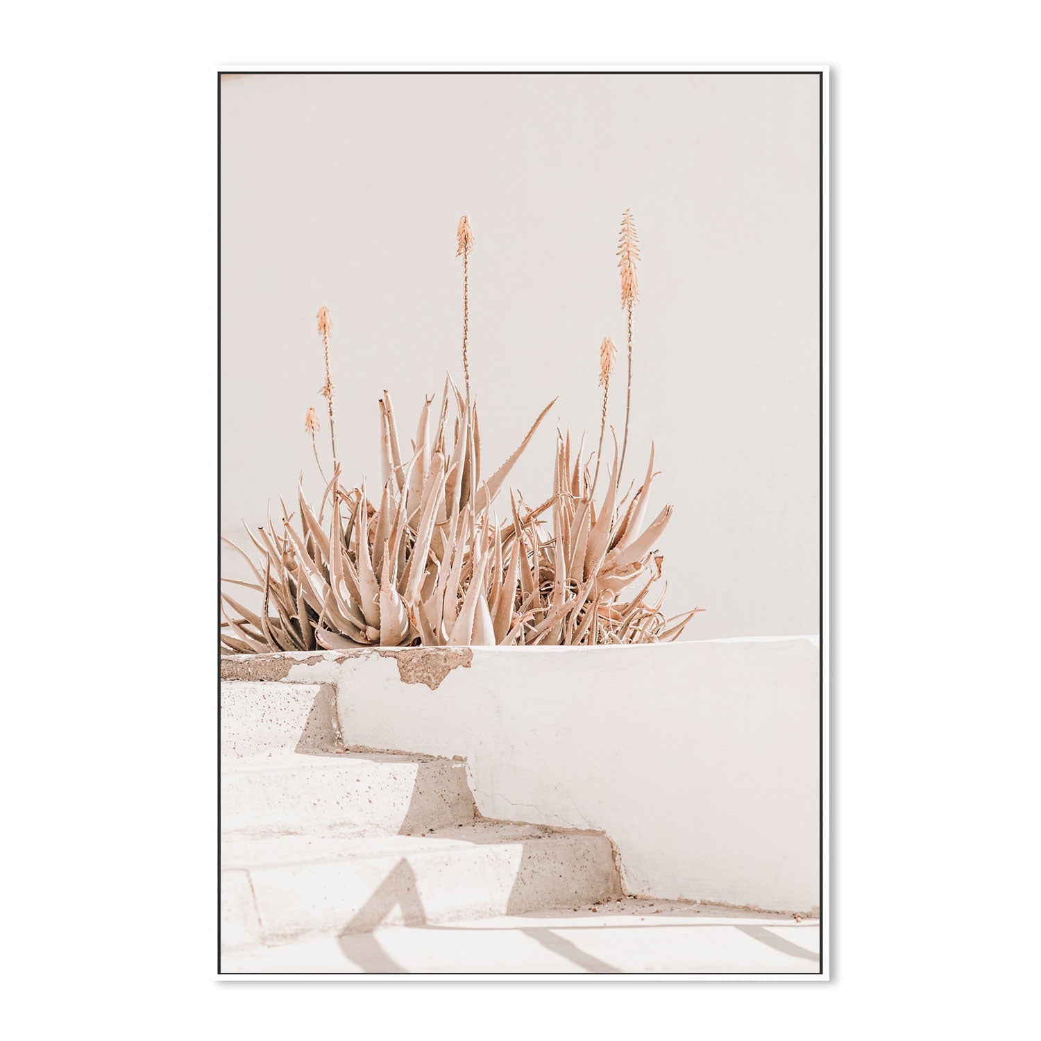 Sun bathing plants-Gioia-Prints-Framed-Canvas-Poster-GIOIA-WALL-ART