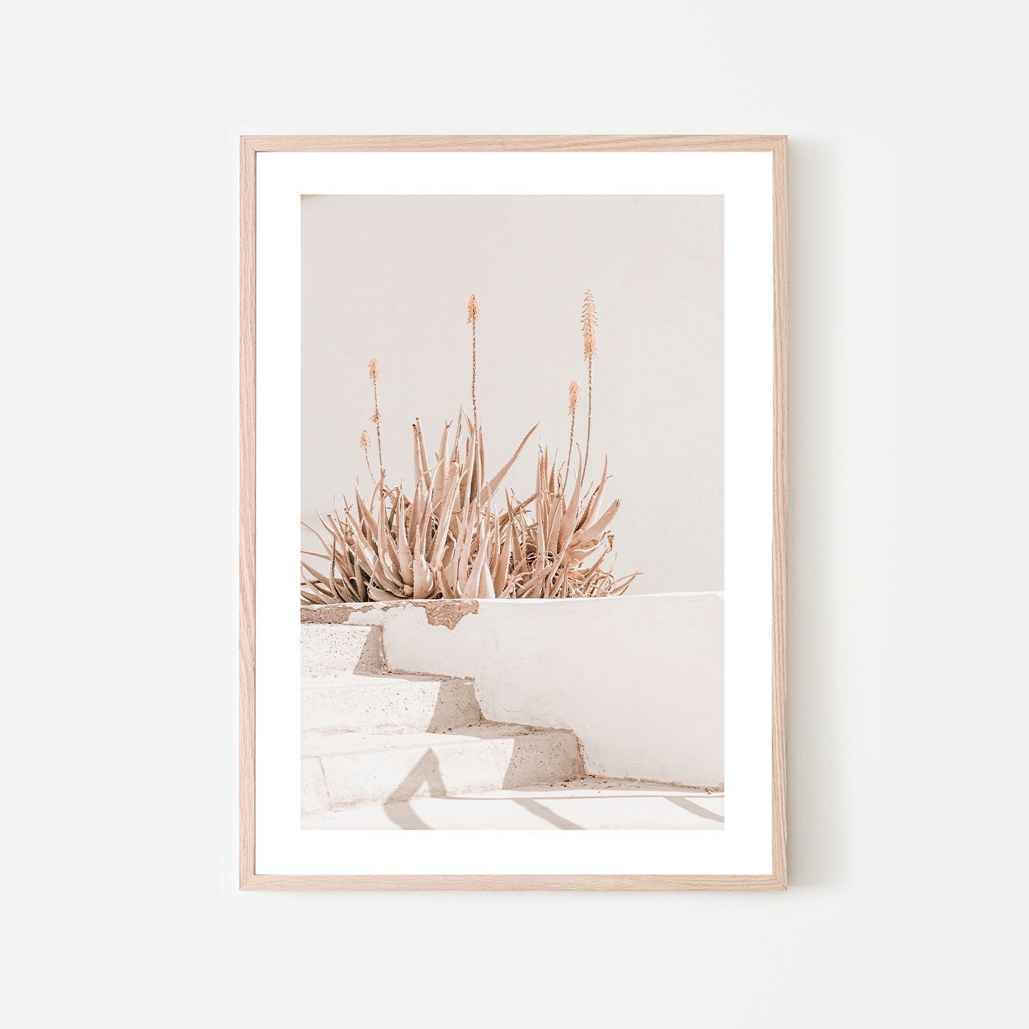 Sun bathing plants-Gioia-Prints-Framed-Canvas-Poster-GIOIA-WALL-ART