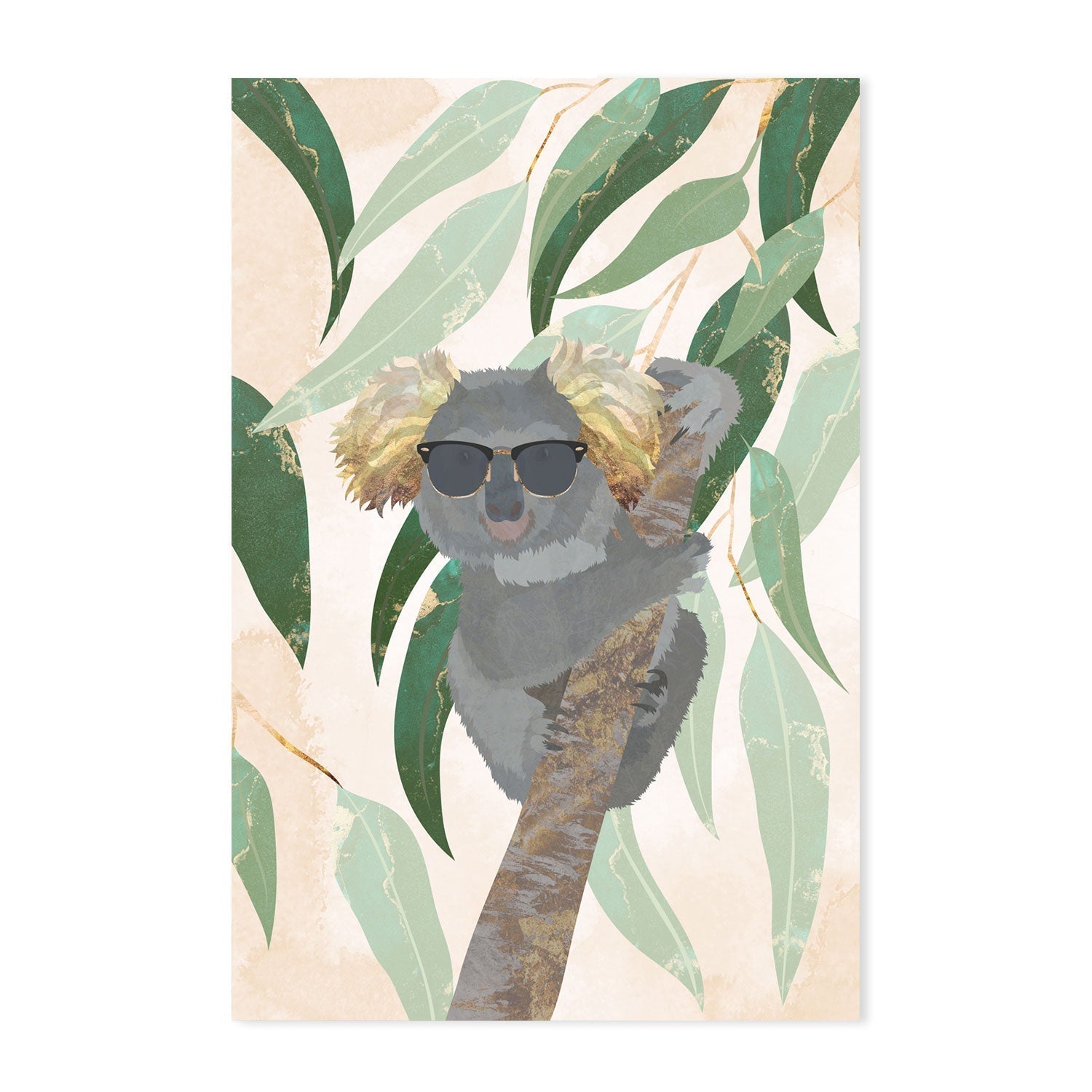 wall-art-print-canvas-poster-framed-Sun Kissed Koala , By Sarah Manovski-GIOIA-WALL-ART