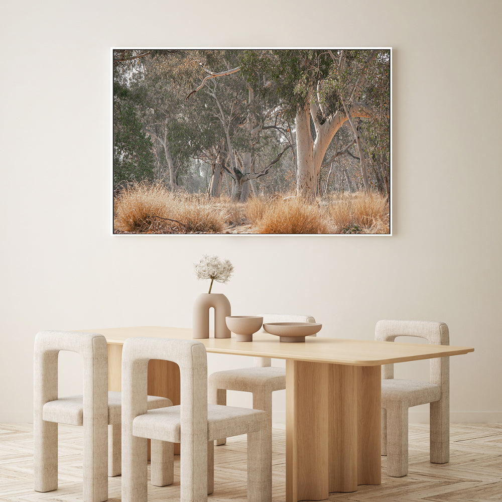 wall-art-print-canvas-poster-framed-Sunkissed Gumtrees-GIOIA-WALL-ART