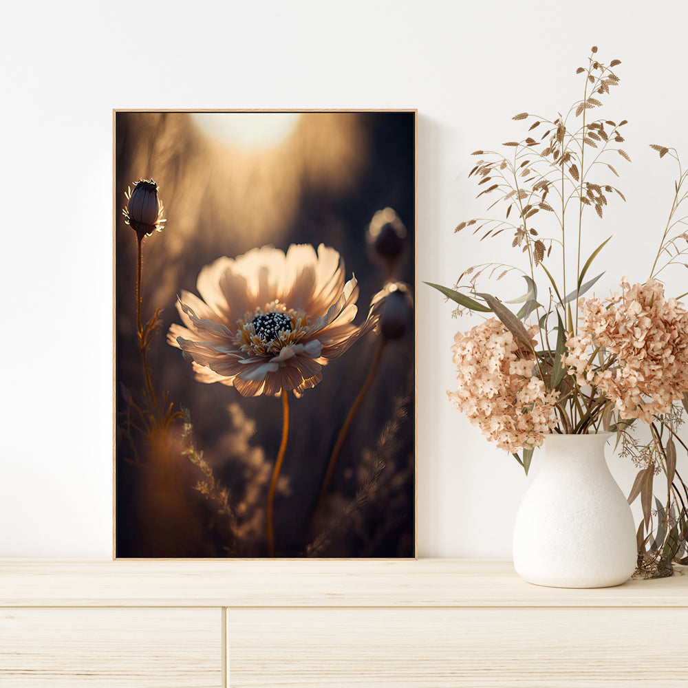 wall-art-print-canvas-poster-framed-Sunlit Flower , By Treechild-GIOIA-WALL-ART