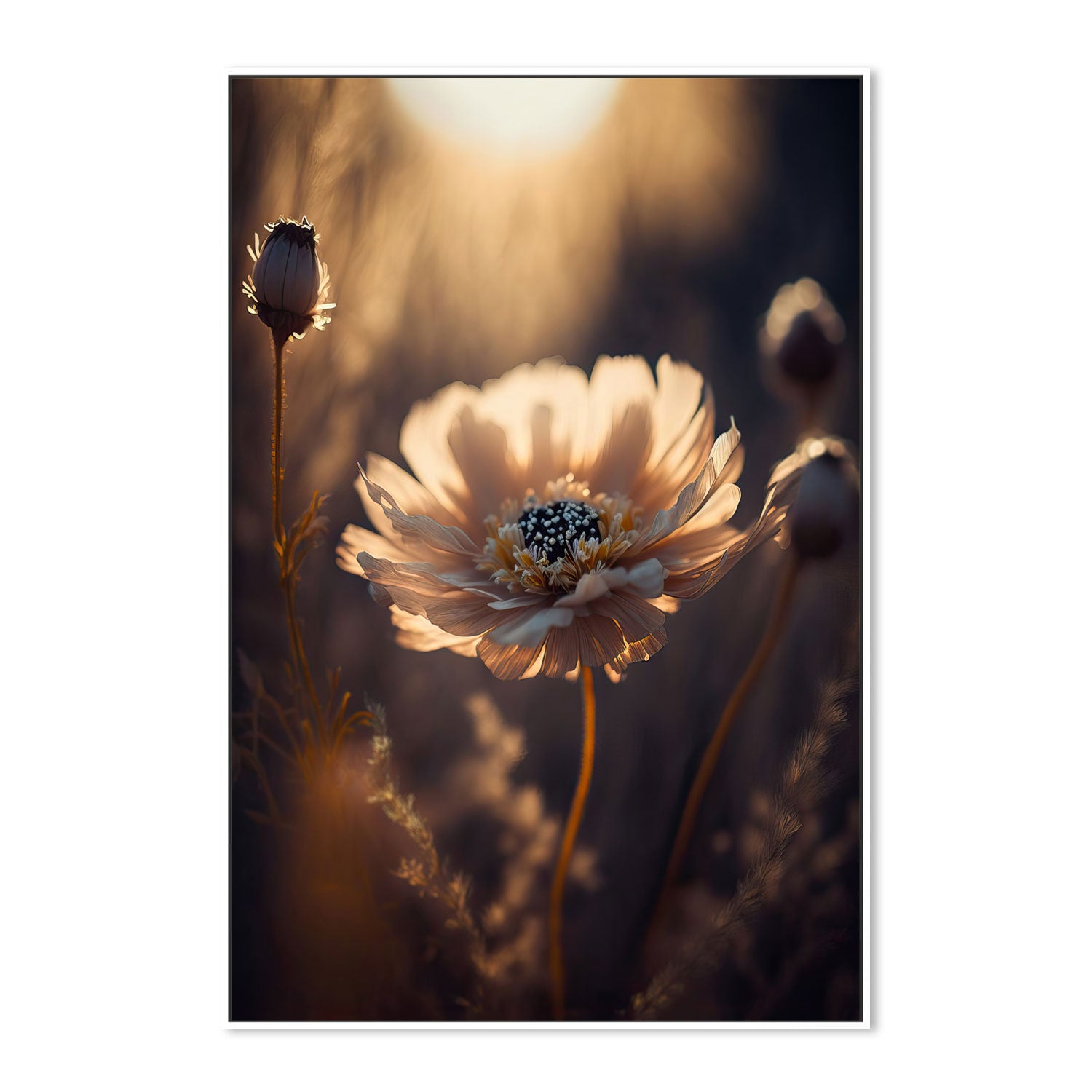 wall-art-print-canvas-poster-framed-Sunlit Flower , By Treechild-GIOIA-WALL-ART