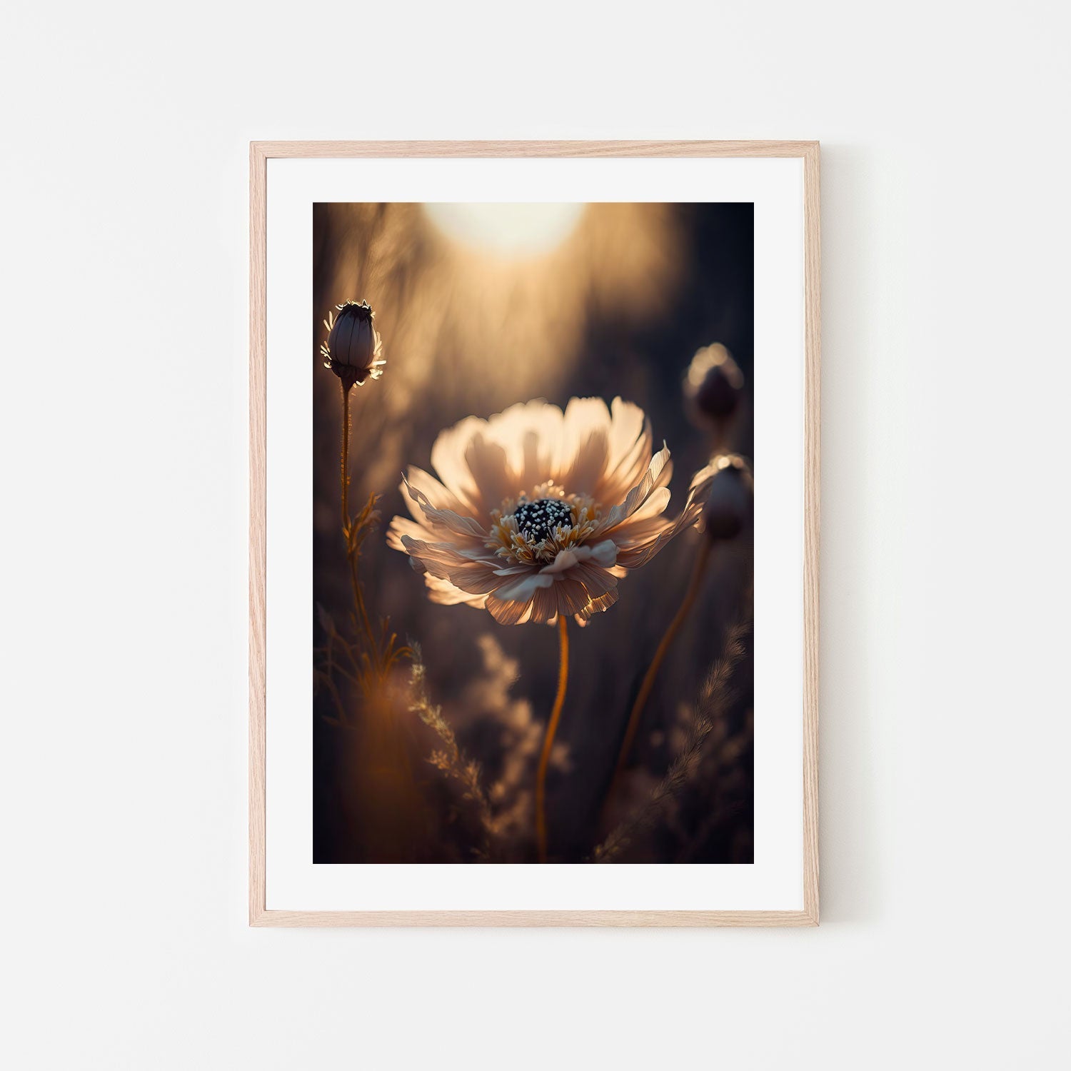 wall-art-print-canvas-poster-framed-Sunlit Flower , By Treechild-GIOIA-WALL-ART