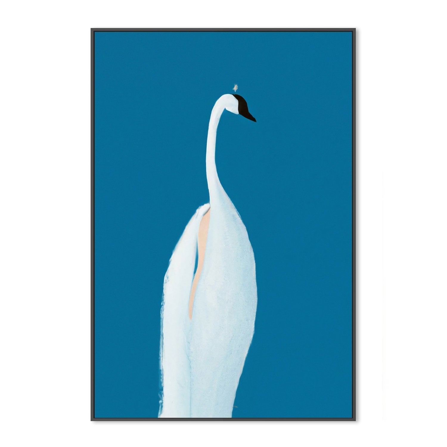 wall-art-print-canvas-poster-framed-Swan Maybe , By Pictufy-3