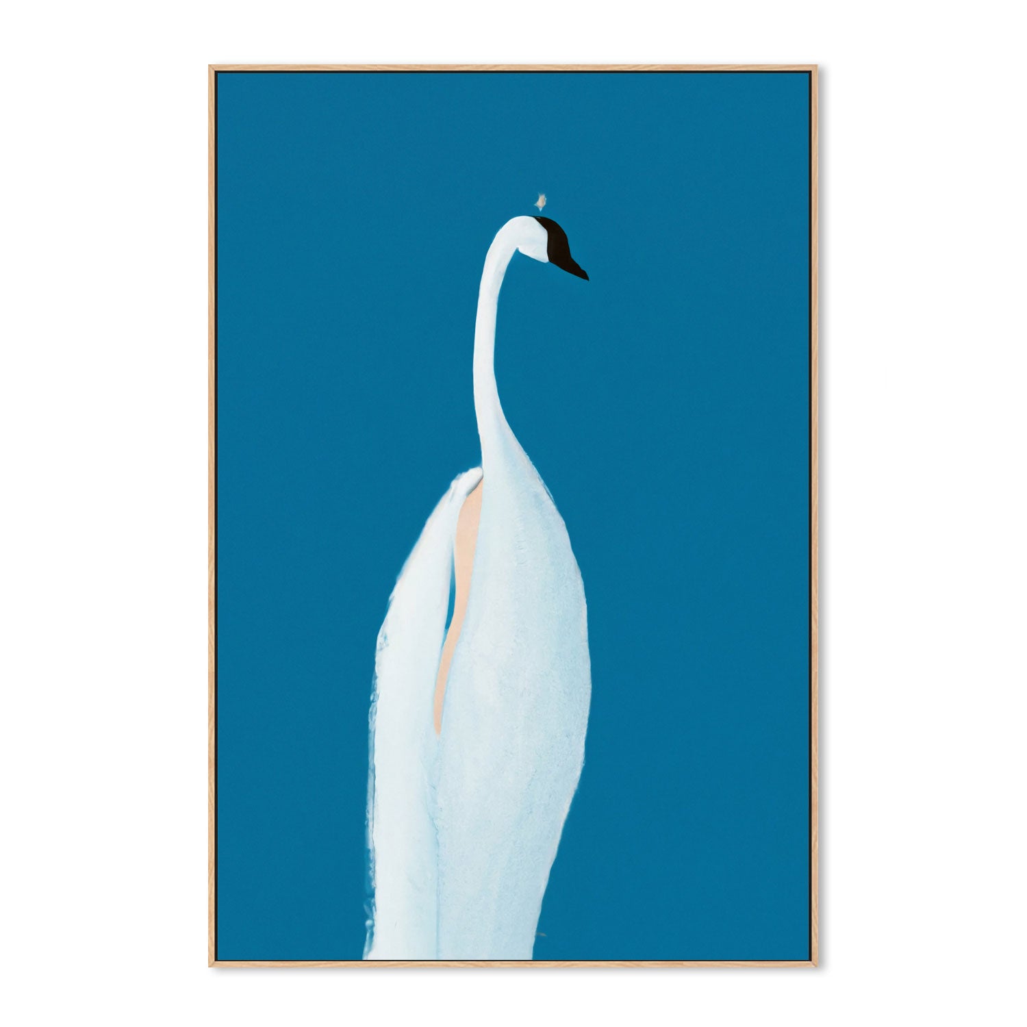 wall-art-print-canvas-poster-framed-Swan Maybe , By Pictufy-4