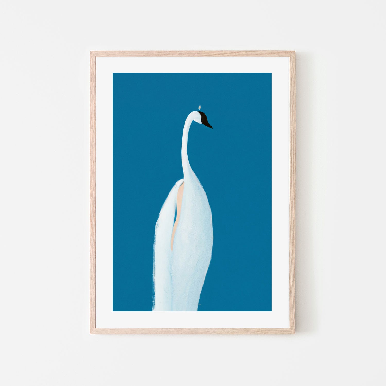 wall-art-print-canvas-poster-framed-Swan Maybe , By Pictufy-6