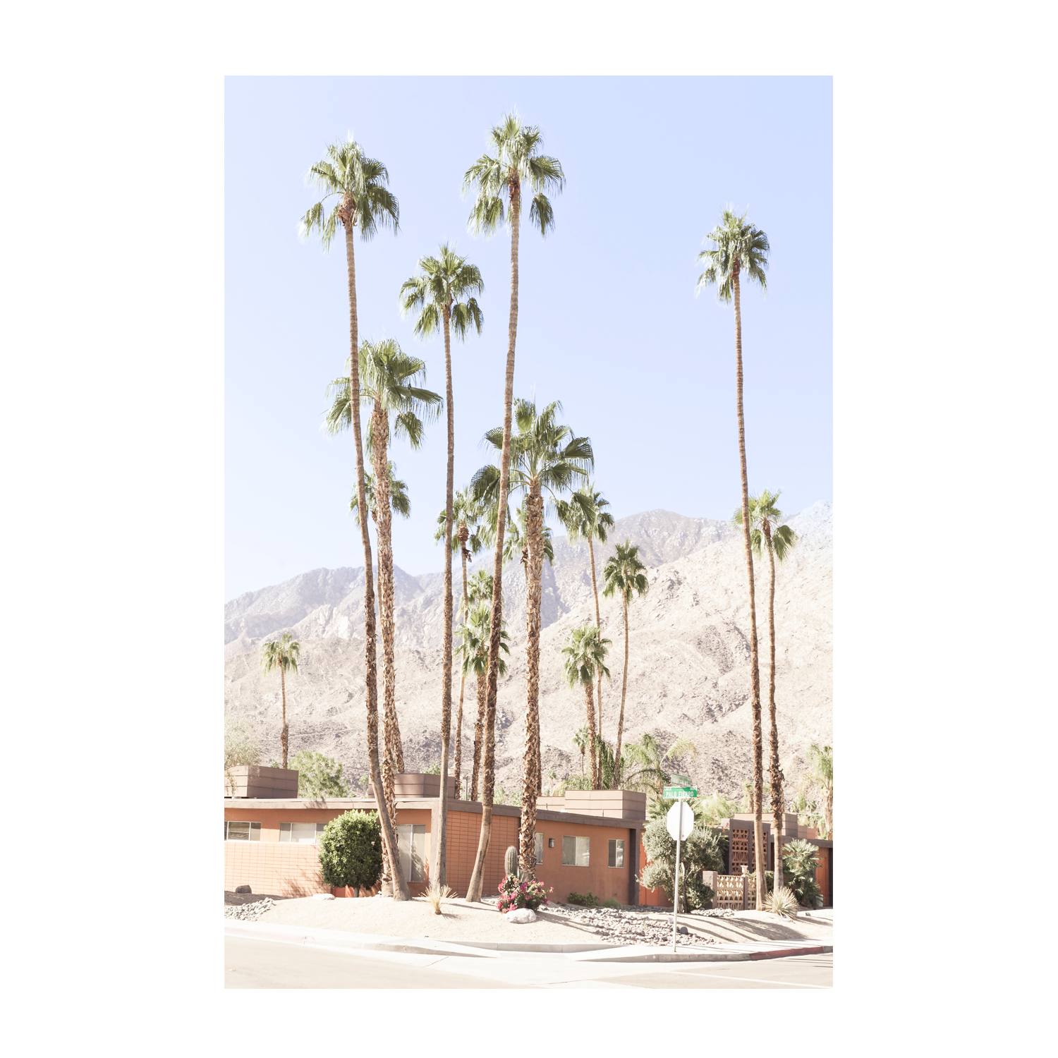 wall-art-print-canvas-poster-framed-Tall Palms-1