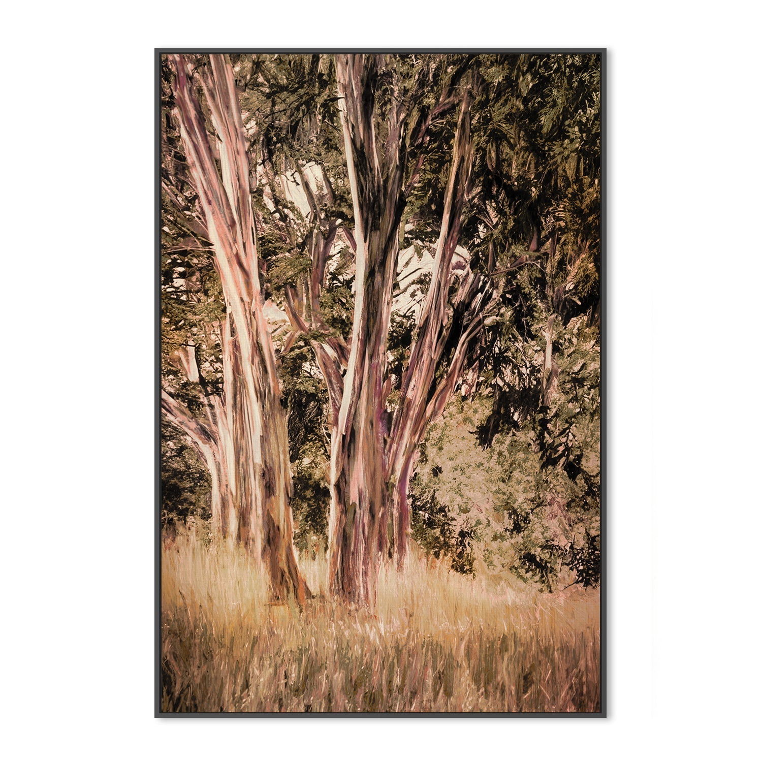 wall-art-print-canvas-poster-framed-Tasmanian Blue Gum , By Dear Musketeer Studio-3