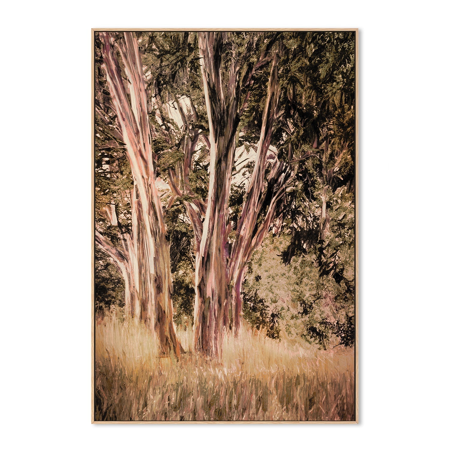 wall-art-print-canvas-poster-framed-Tasmanian Blue Gum , By Dear Musketeer Studio-4