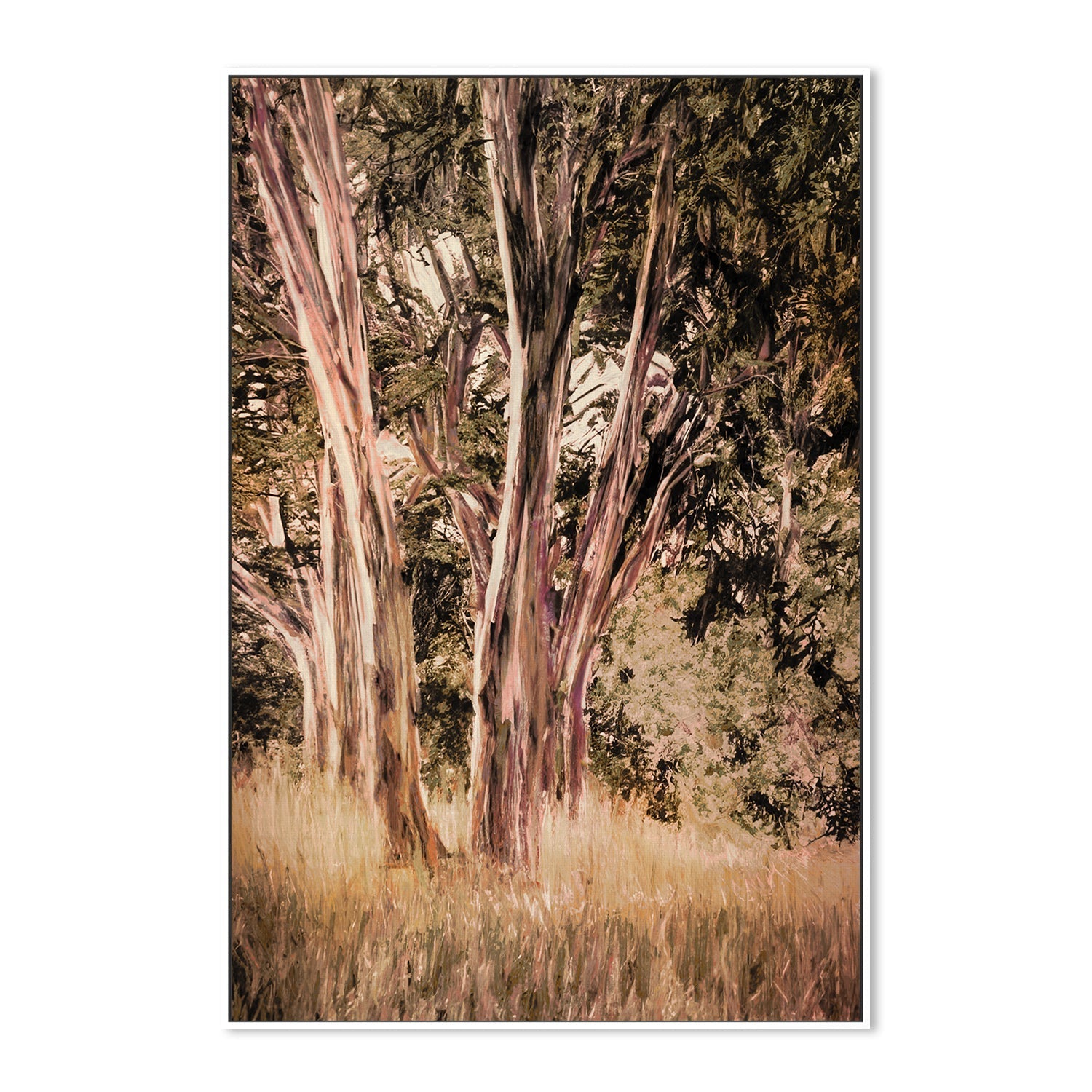 wall-art-print-canvas-poster-framed-Tasmanian Blue Gum , By Dear Musketeer Studio-5