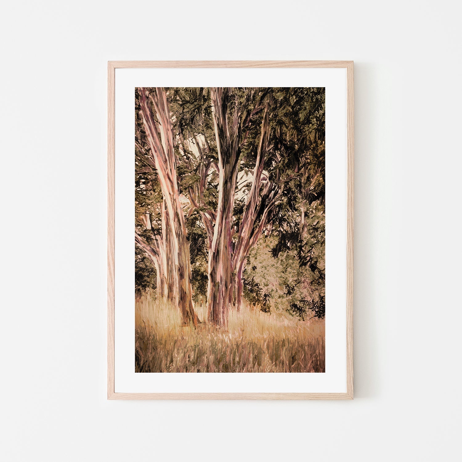 wall-art-print-canvas-poster-framed-Tasmanian Blue Gum , By Dear Musketeer Studio-6