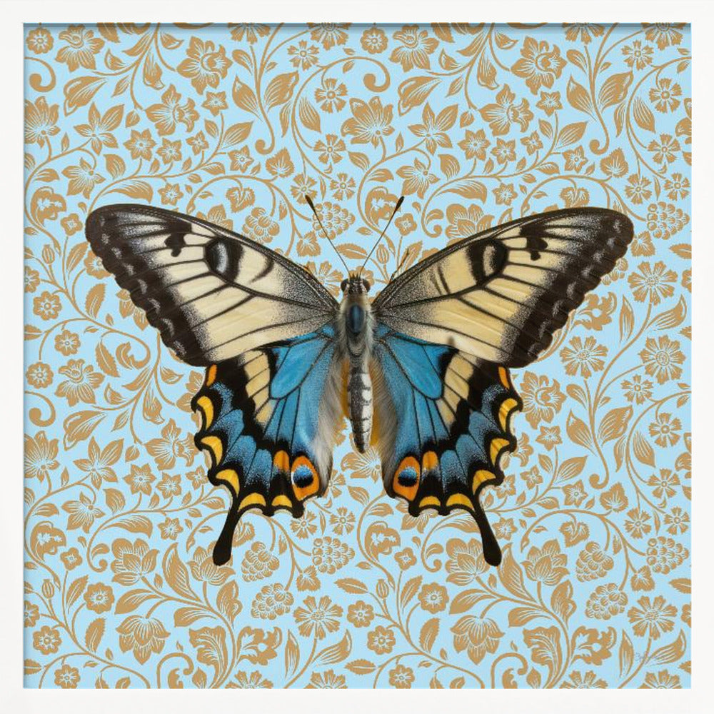 wall-art-print-canvas-poster-framed-Teal Butterfly , By Sue Skellern-1