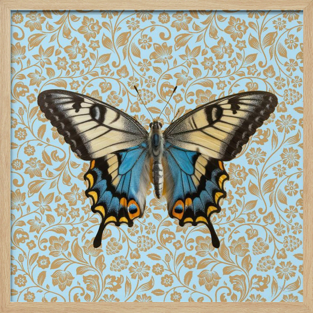 wall-art-print-canvas-poster-framed-Teal Butterfly , By Sue Skellern-2