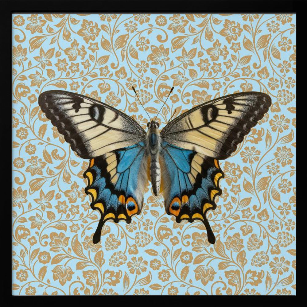 wall-art-print-canvas-poster-framed-Teal Butterfly , By Sue Skellern-3