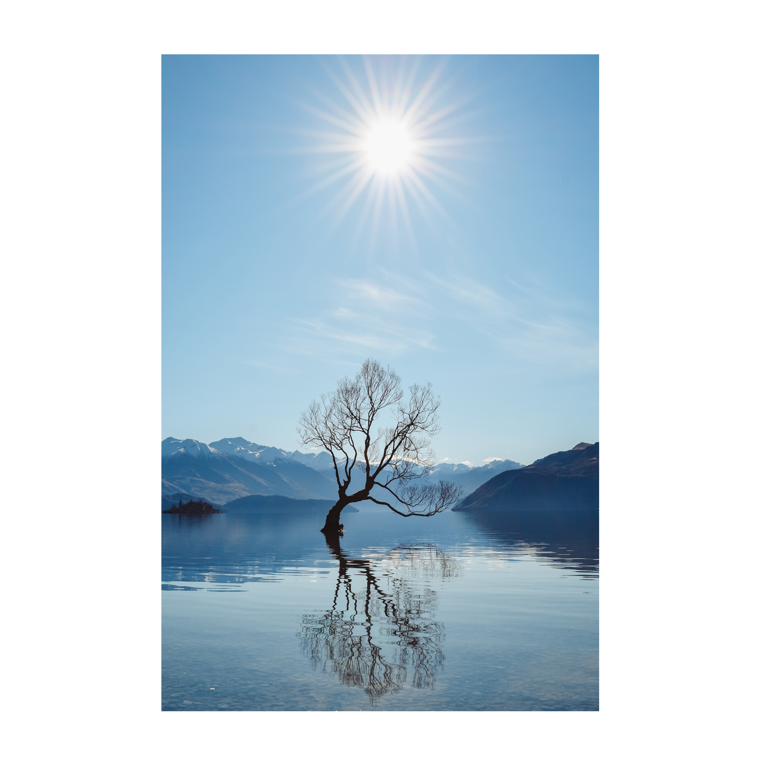 wall-art-print-canvas-poster-framed-That Wanka Tree, New Zealand , By Maddison Harris-1