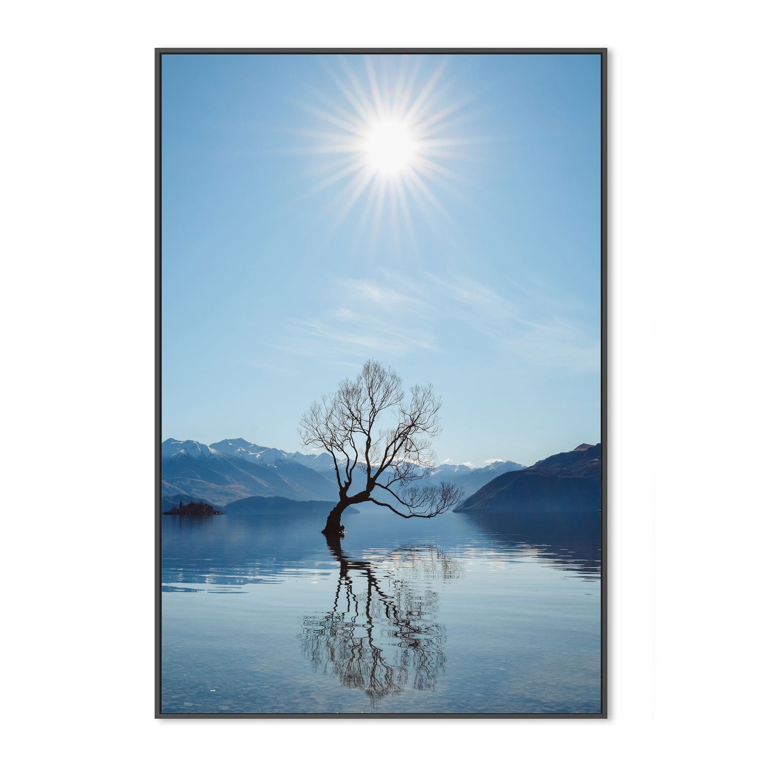 wall-art-print-canvas-poster-framed-That Wanka Tree, New Zealand , By Maddison Harris-3