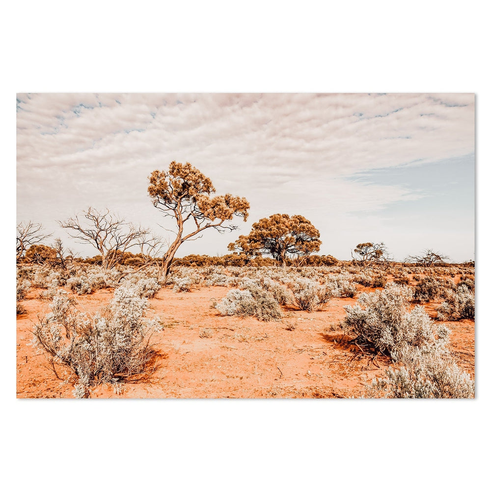 wall-art-print-canvas-poster-framed-The Red Center, Desert Outback Australia-by-Gioia Wall Art-Gioia Wall Art