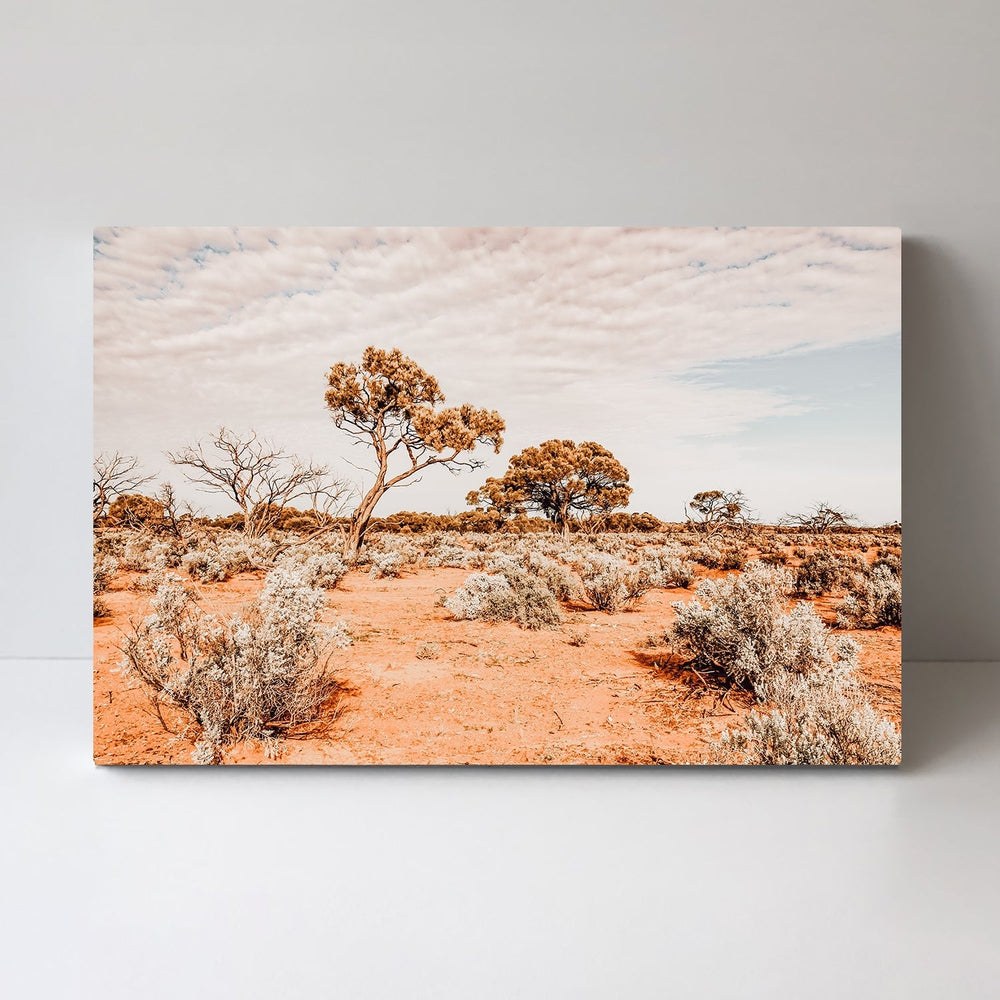 wall-art-print-canvas-poster-framed-The Red Center, Desert Outback Australia-by-Gioia Wall Art-Gioia Wall Art