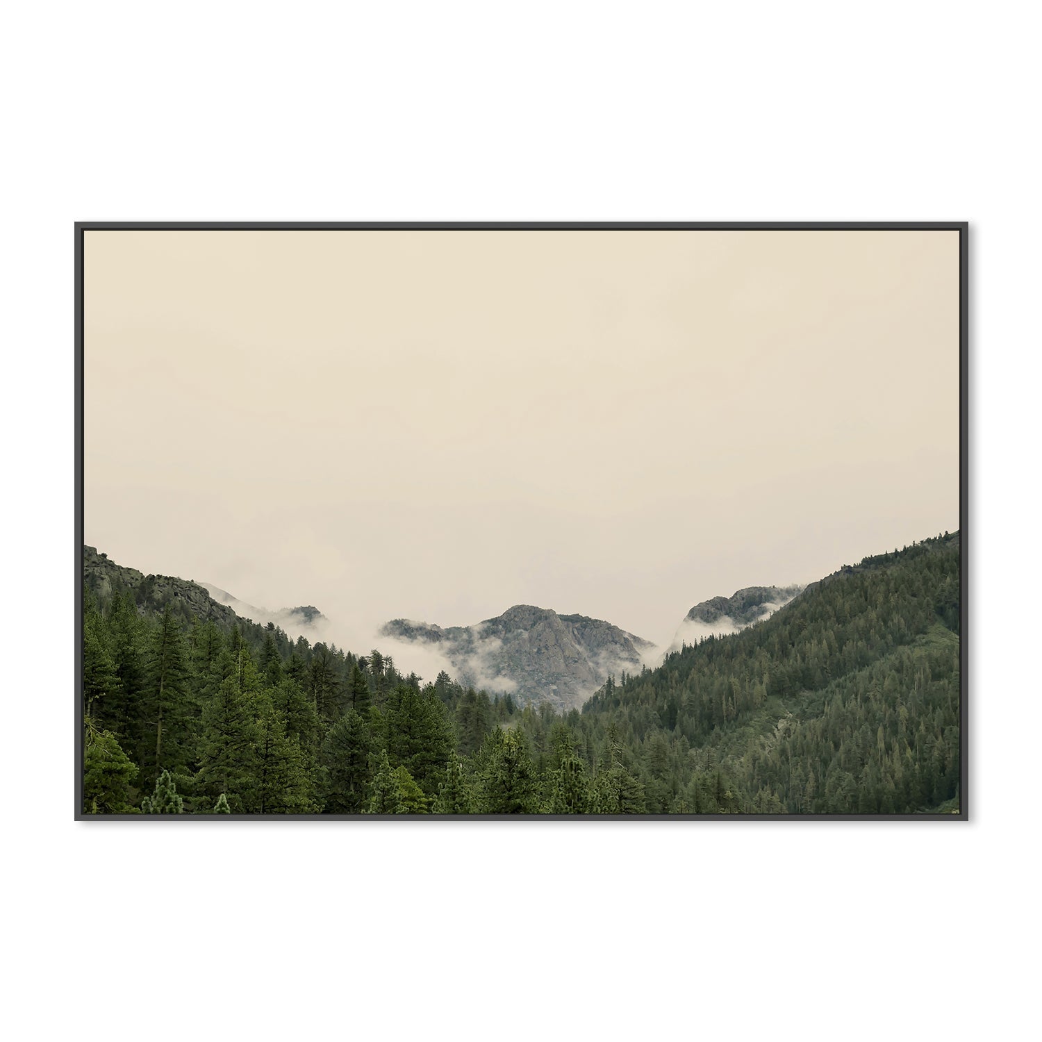 wall-art-print-canvas-poster-framed-Through the Woods , By Hope Bainbridge-3