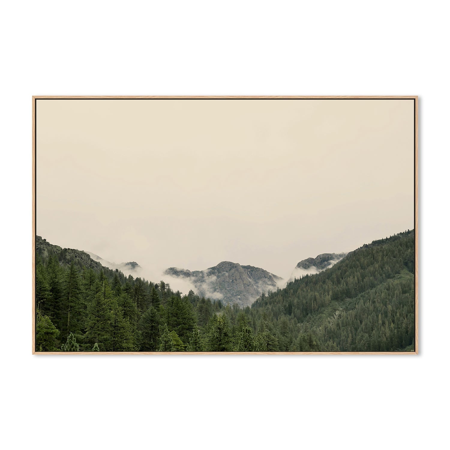 wall-art-print-canvas-poster-framed-Through the Woods , By Hope Bainbridge-4