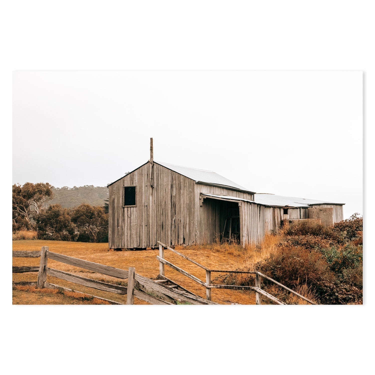 wall-art-print-canvas-poster-framed-Timber Beach Shack, Eaglehawk Neck, Tasmania , By Earth Sea & Me , By Earth Sea & Me-GIOIA-WALL-ART