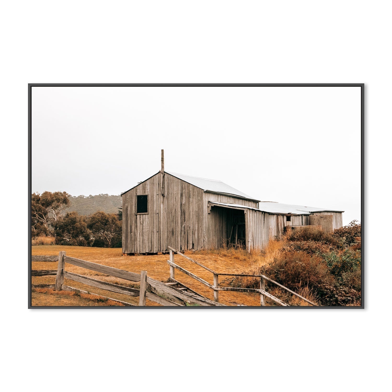 wall-art-print-canvas-poster-framed-Timber Beach Shack, Eaglehawk Neck, Tasmania , By Earth Sea & Me , By Earth Sea & Me-GIOIA-WALL-ART