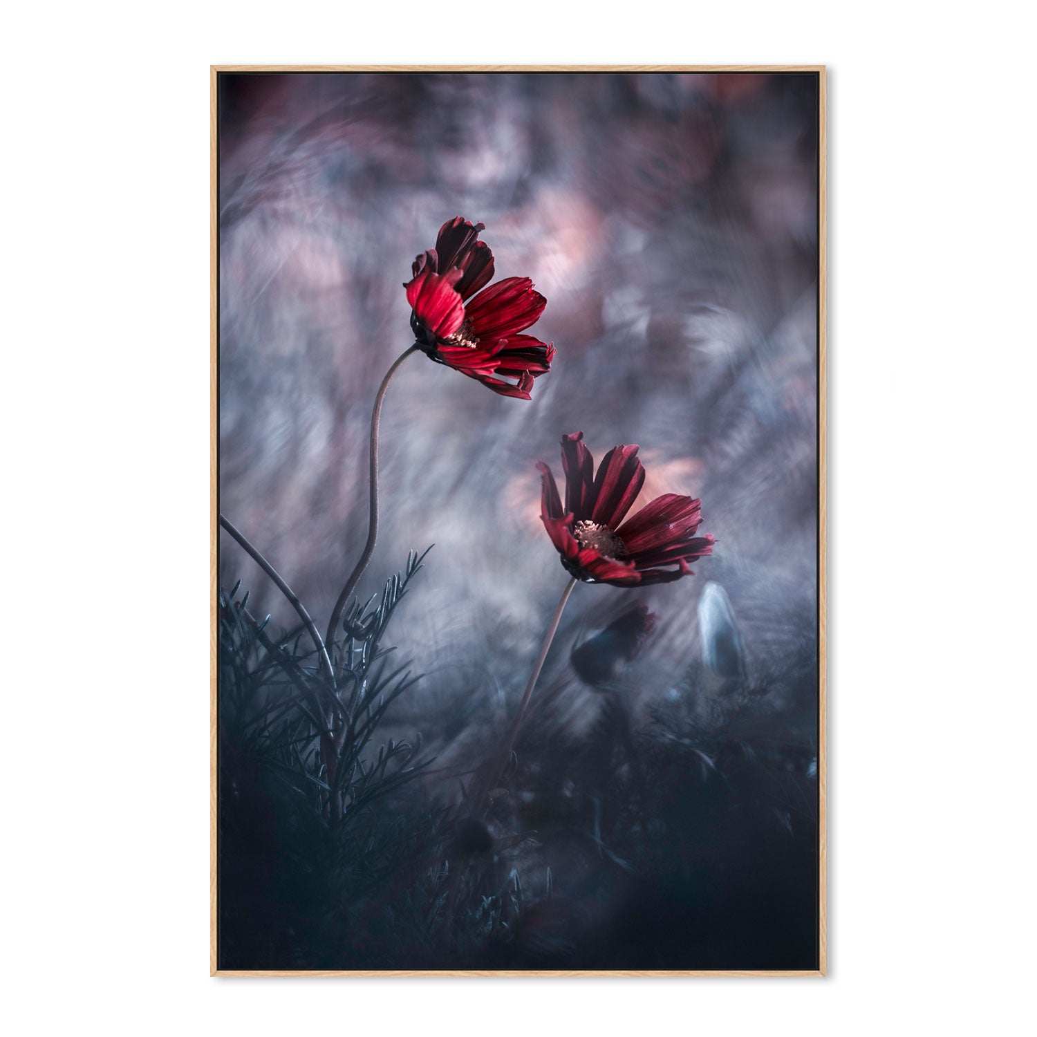 wall-art-print-canvas-poster-framed-Together Again, By Fabien Bravin-GIOIA-WALL-ART