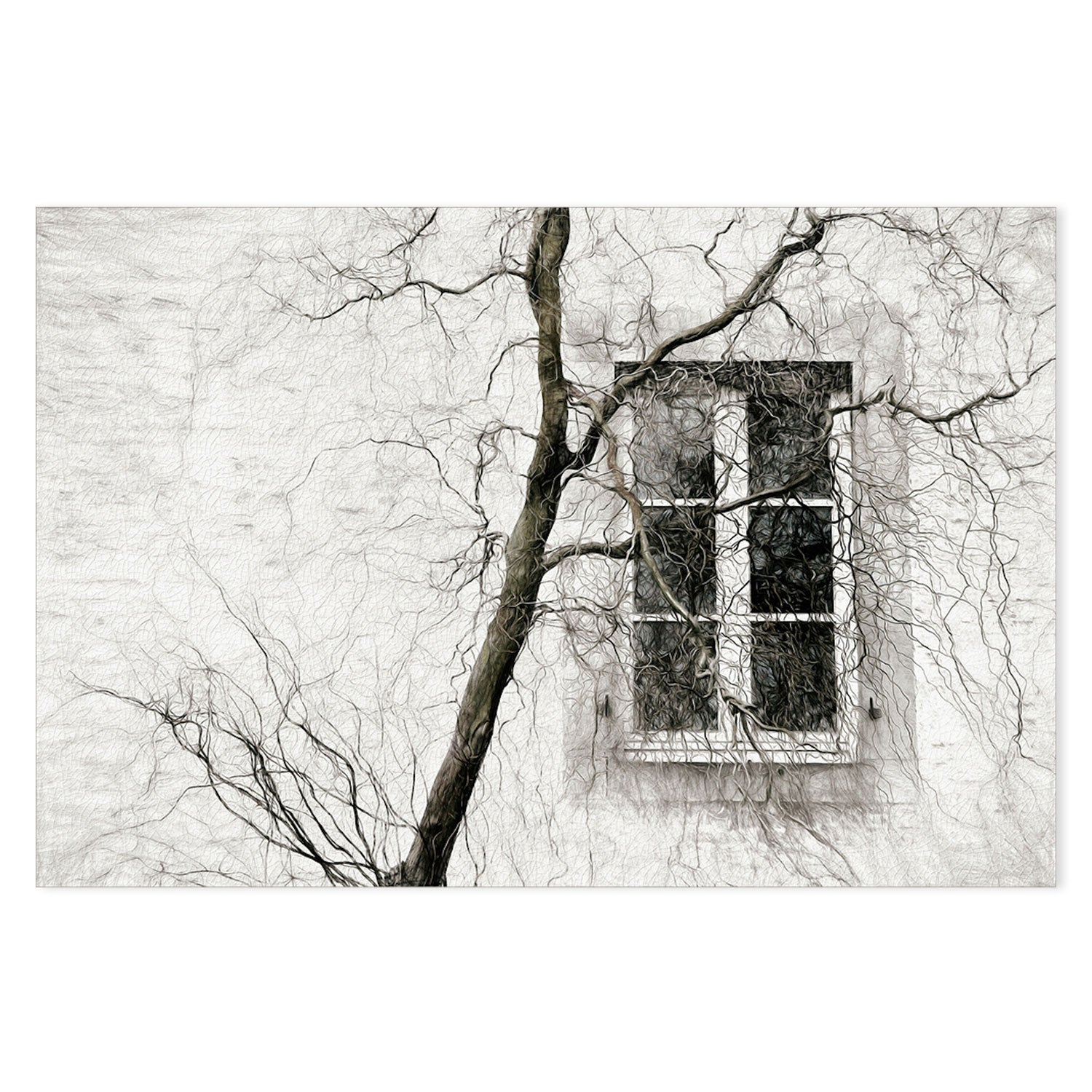 wall-art-print-canvas-poster-framed-Tree By The Window , By Gilbert Claes-GIOIA-WALL-ART