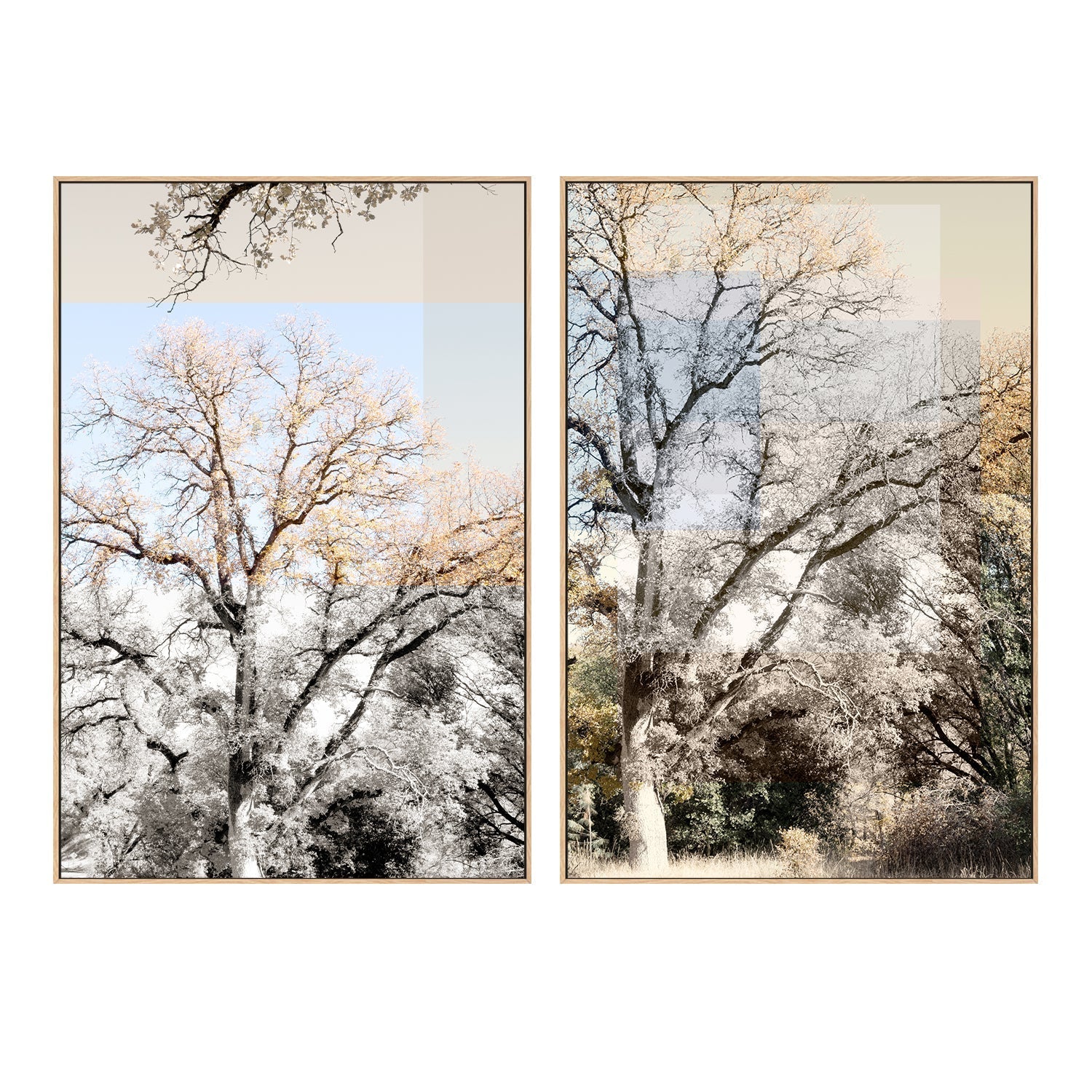 wall-art-print-canvas-poster-framed-Tree Collage, Style A & B, Set Of 2 , By Hope Bainbridge-4