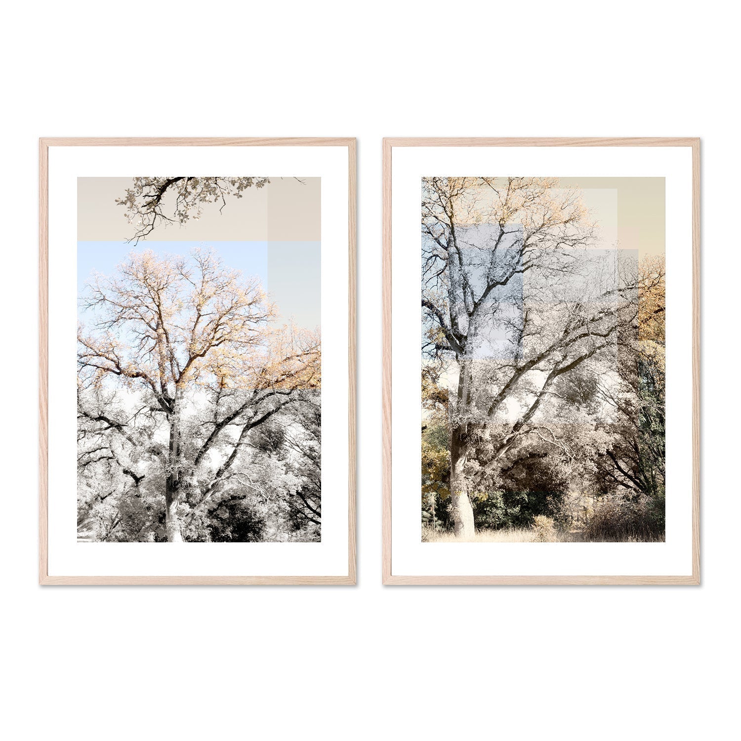 wall-art-print-canvas-poster-framed-Tree Collage, Style A & B, Set Of 2 , By Hope Bainbridge-6