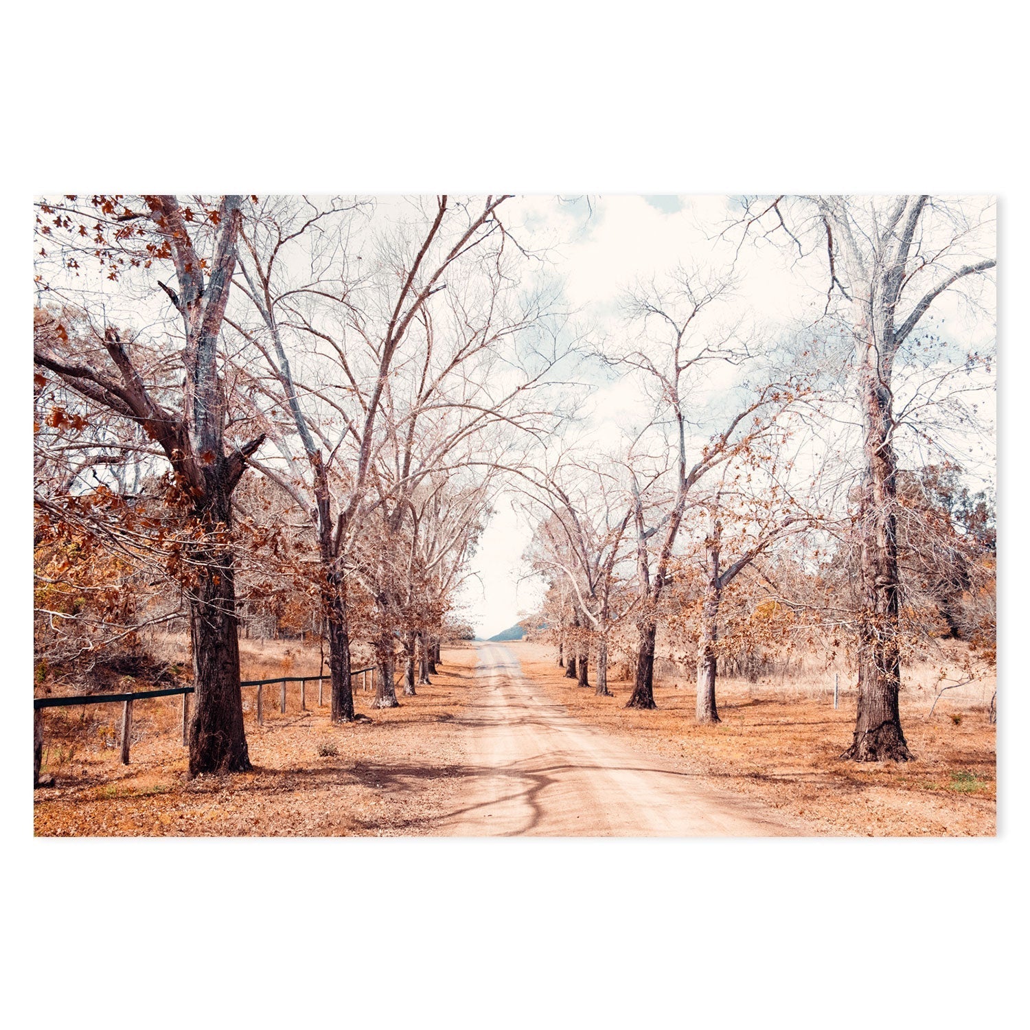 wall-art-print-canvas-poster-framed-Tree Lined Road , By Kellie Morris-GIOIA-WALL-ART