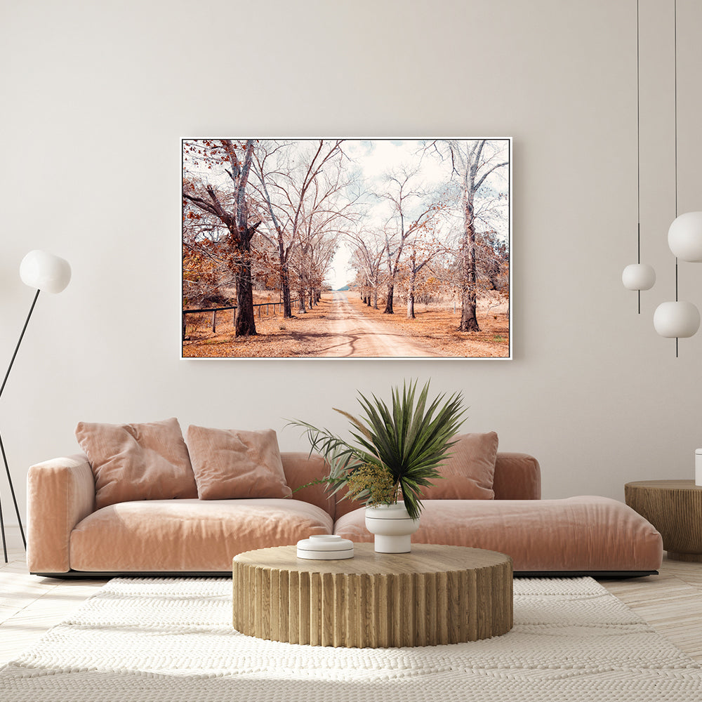 wall-art-print-canvas-poster-framed-Tree Lined Road , By Kellie Morris-GIOIA-WALL-ART