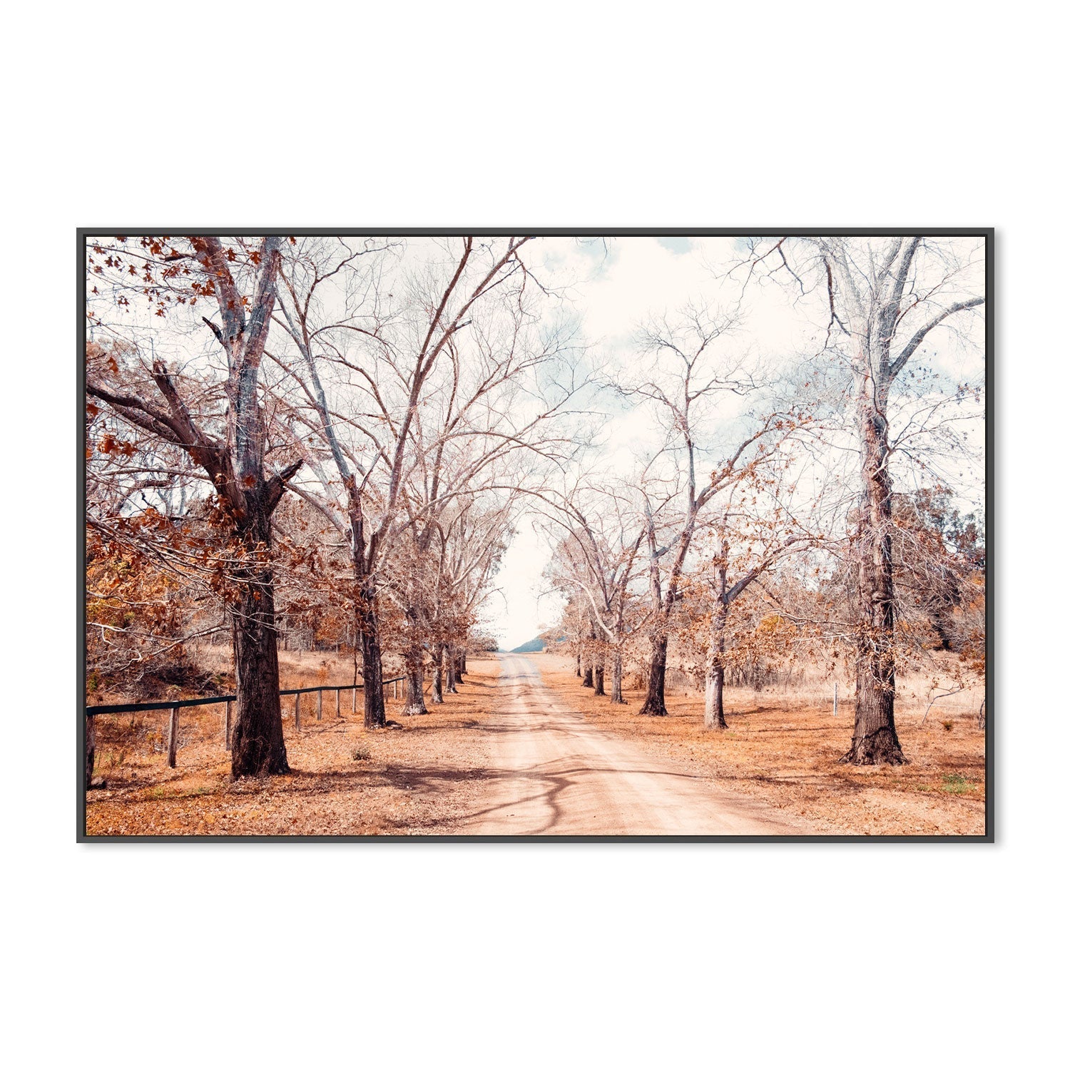 wall-art-print-canvas-poster-framed-Tree Lined Road , By Kellie Morris-GIOIA-WALL-ART