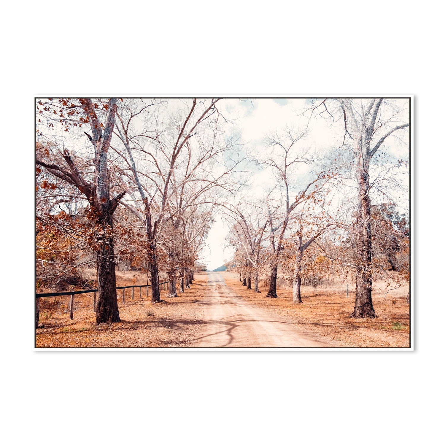 wall-art-print-canvas-poster-framed-Tree Lined Road , By Kellie Morris-GIOIA-WALL-ART