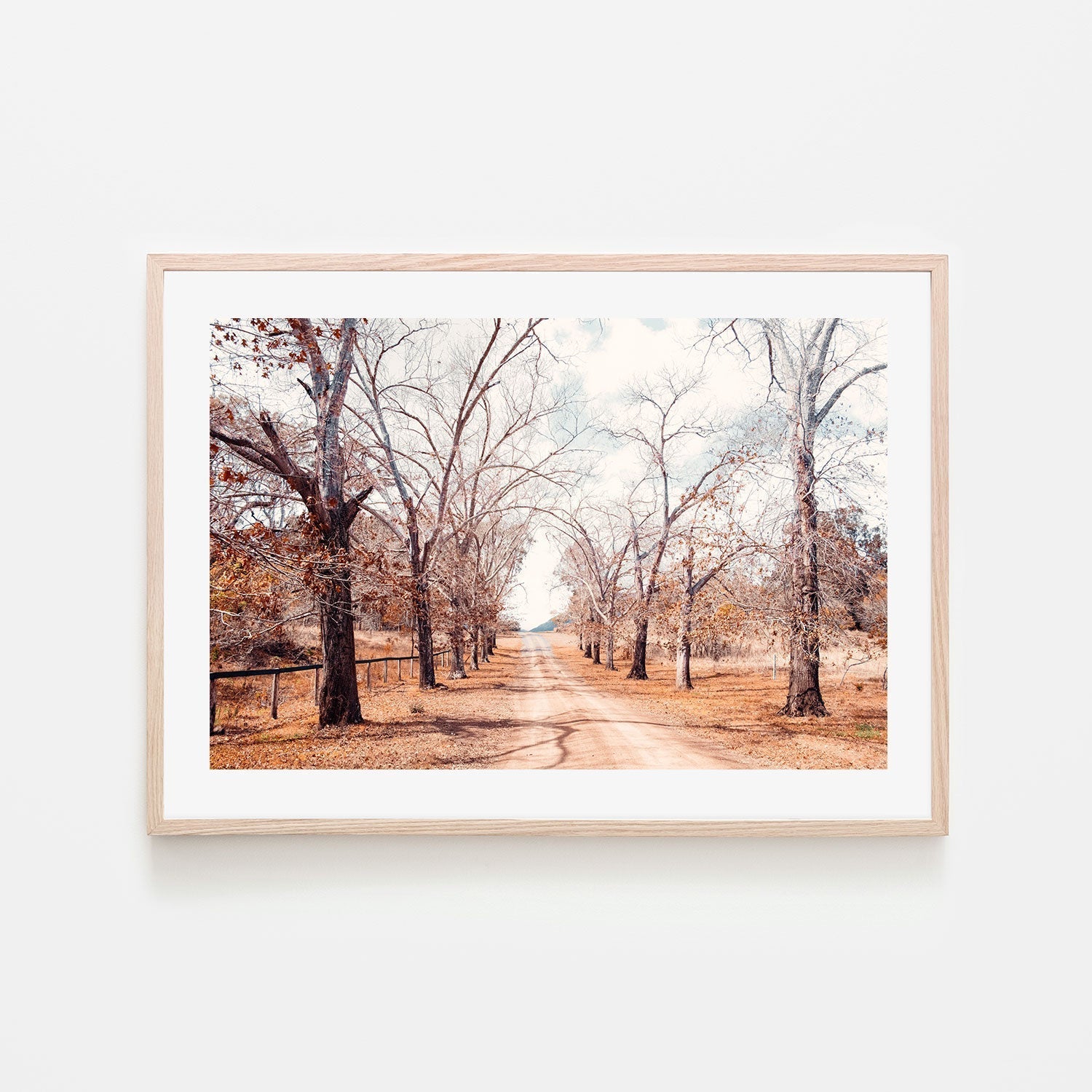 wall-art-print-canvas-poster-framed-Tree Lined Road , By Kellie Morris-GIOIA-WALL-ART