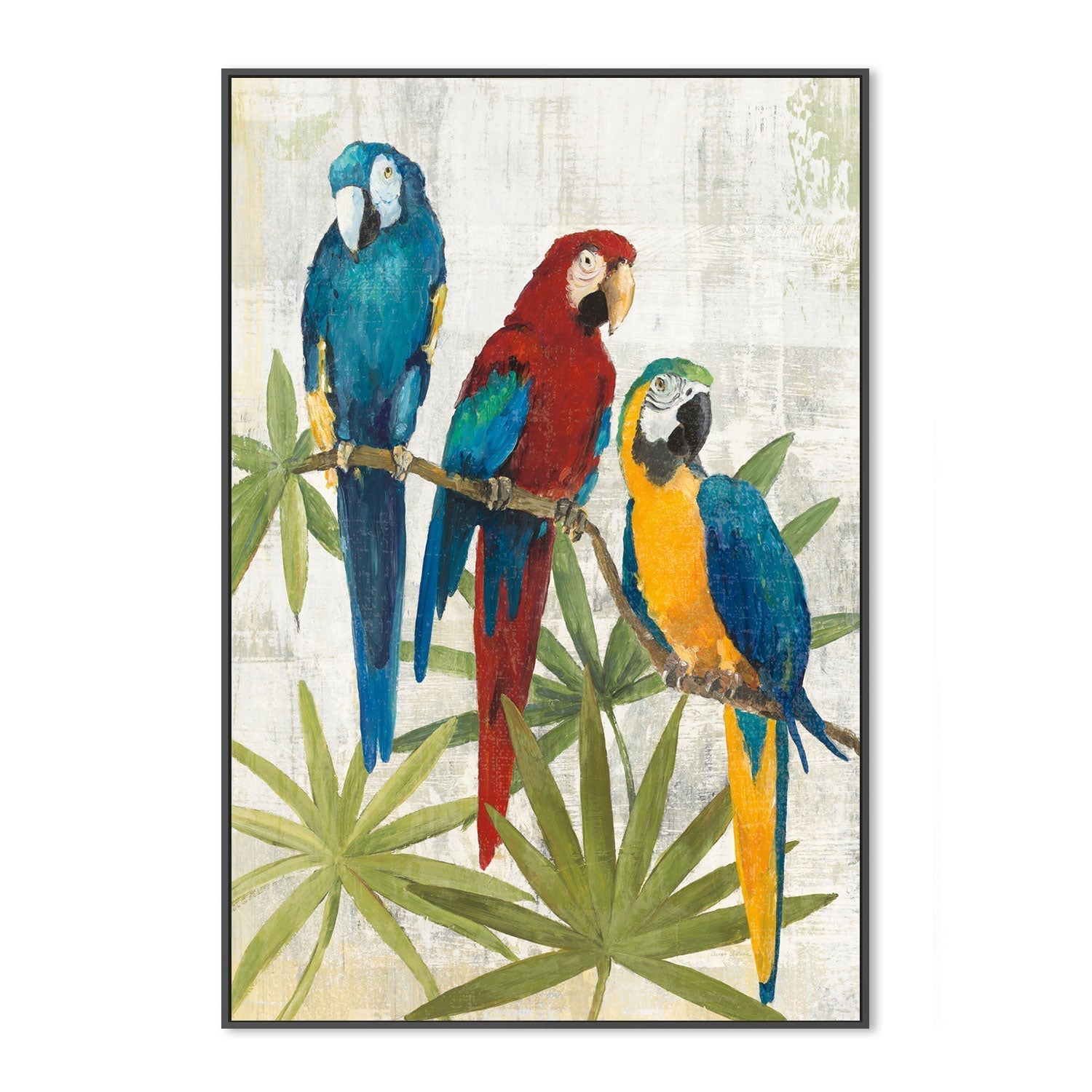 wall-art-print-canvas-poster-framed-Trio Of Birds , By Avery Tilmon-GIOIA-WALL-ART