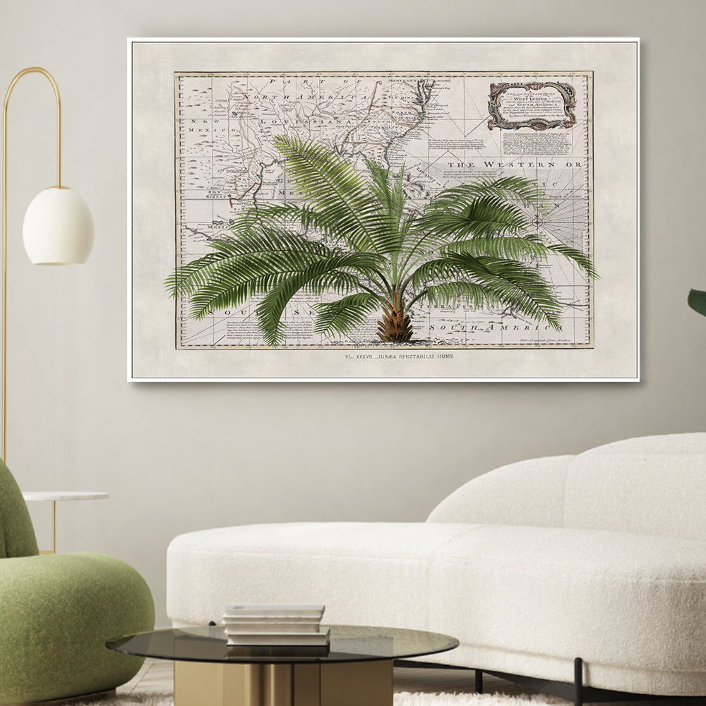 wall-art-print-canvas-poster-framed-Tropical Empire, By Andrea Haase-GIOIA-WALL-ART