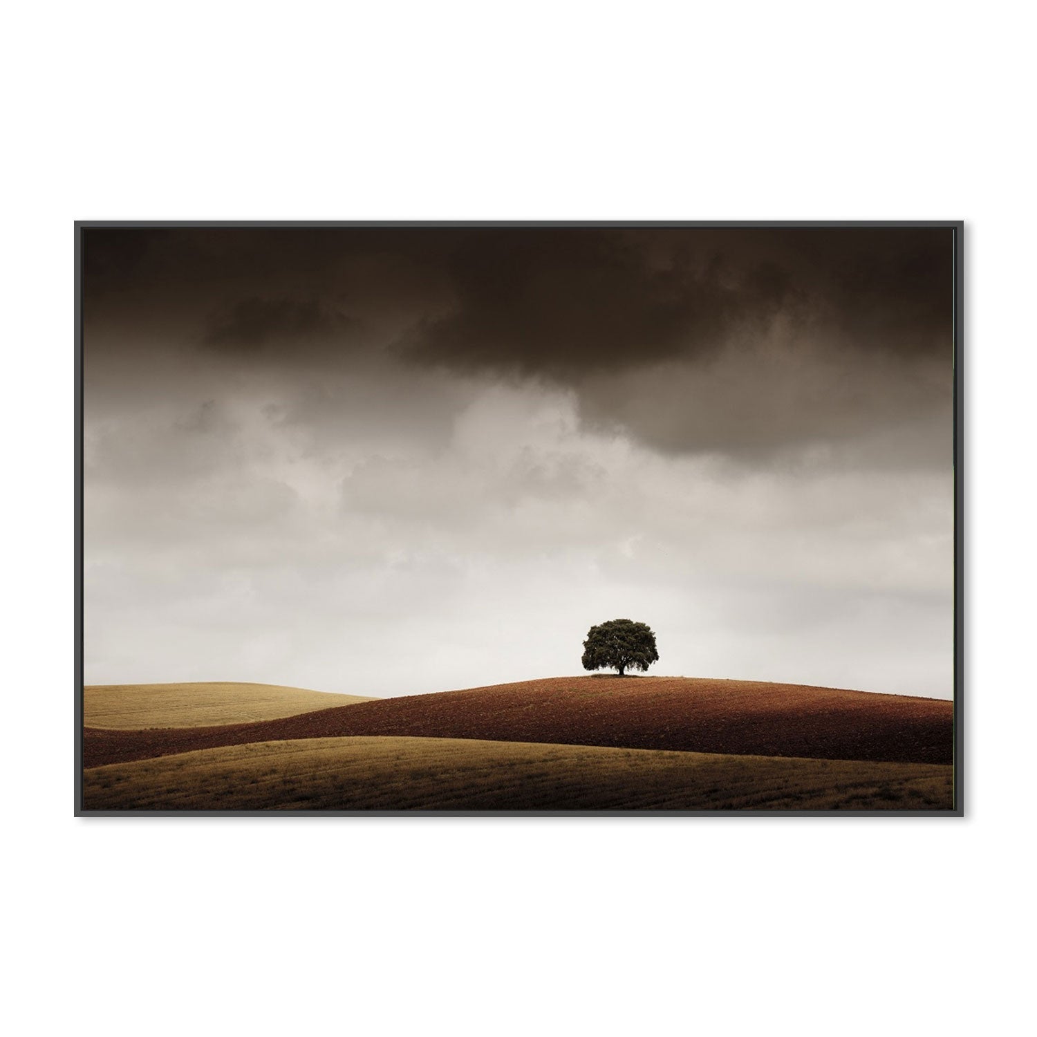 wall-art-print-canvas-poster-framed-Tuve Que Pararme Al Verla, by Alberto Merchán-by-Plus X Studio-Gioia Wall Art