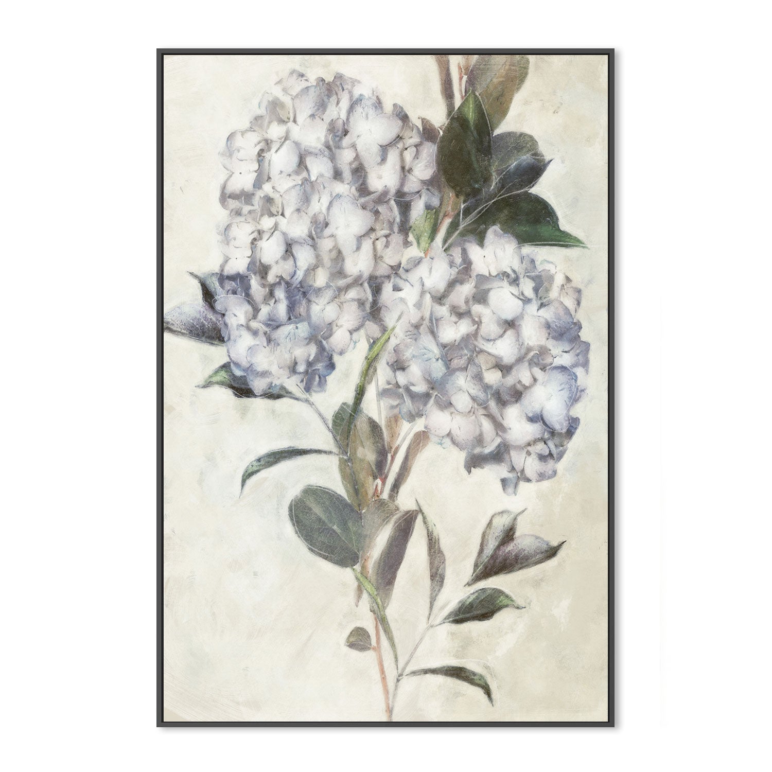 wall-art-print-canvas-poster-framed-Twilight Hydrangea, Style D , By Nina Blue-3