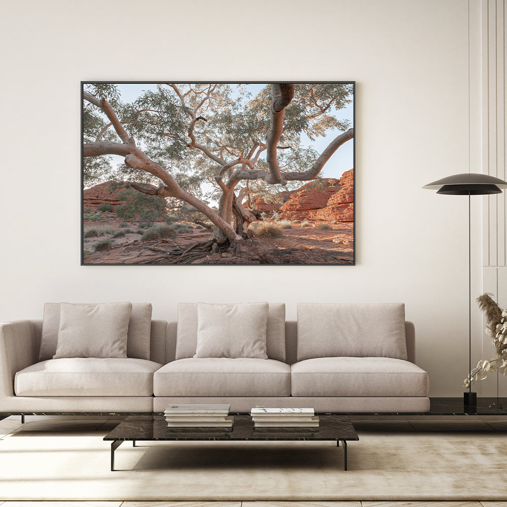 wall-art-print-canvas-poster-framed-Twisting Gum Tree-GIOIA-WALL-ART