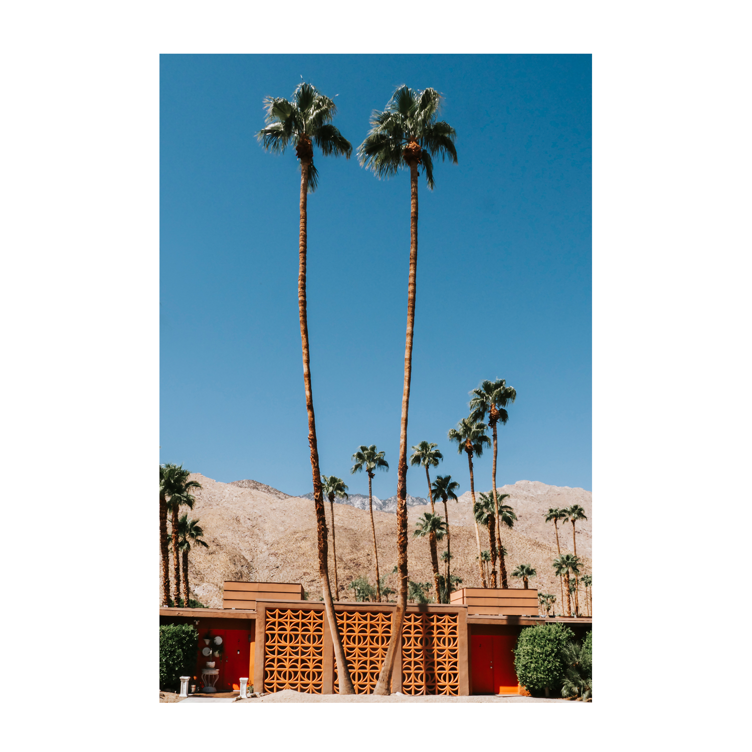 wall-art-print-canvas-poster-framed-Two Palms-1